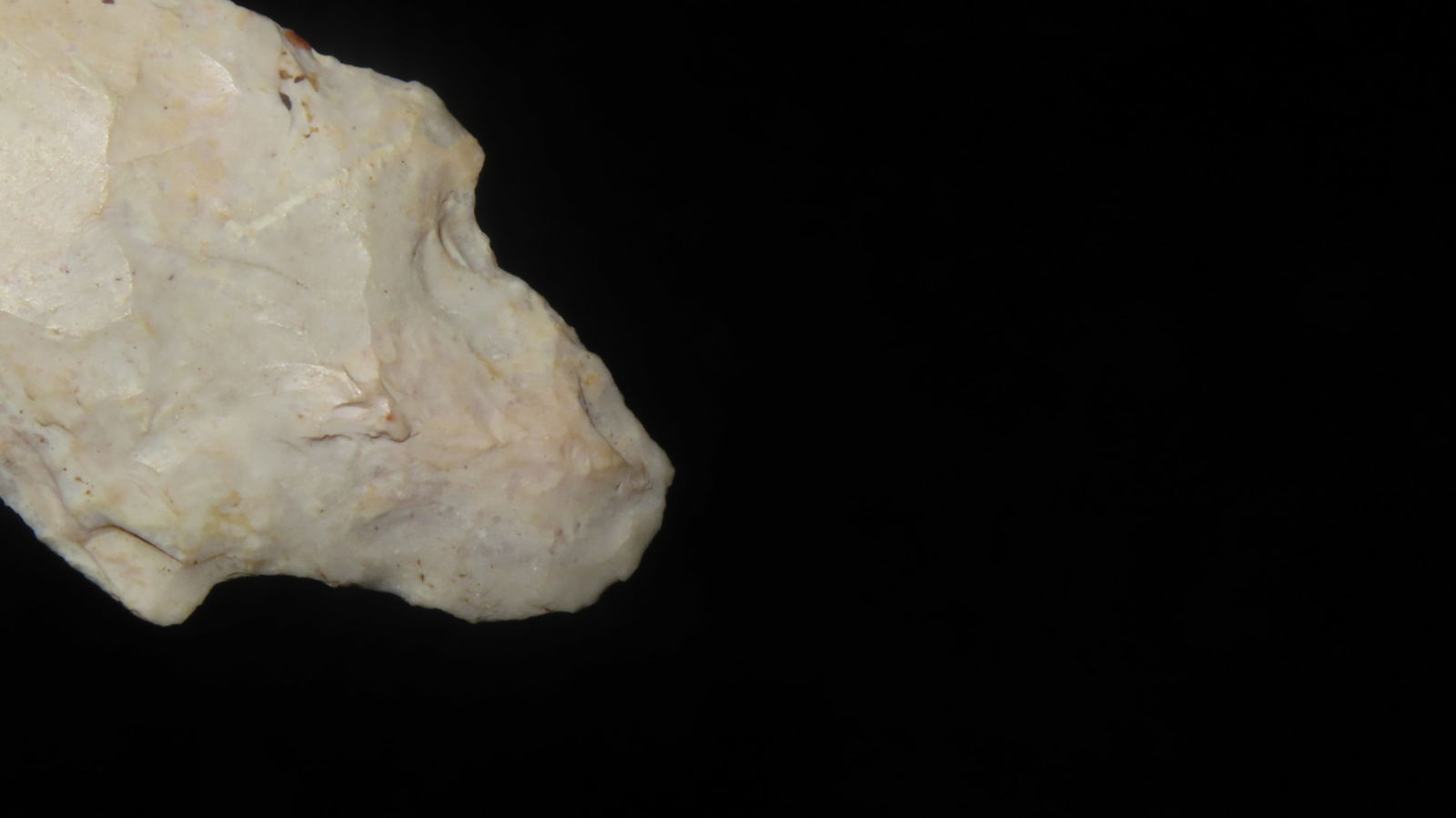 2 5/8” Dickson Point - 4