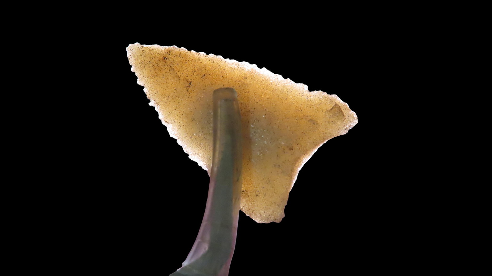 1 3/8” Translucent Serrated Triangular Point (1 of 7)