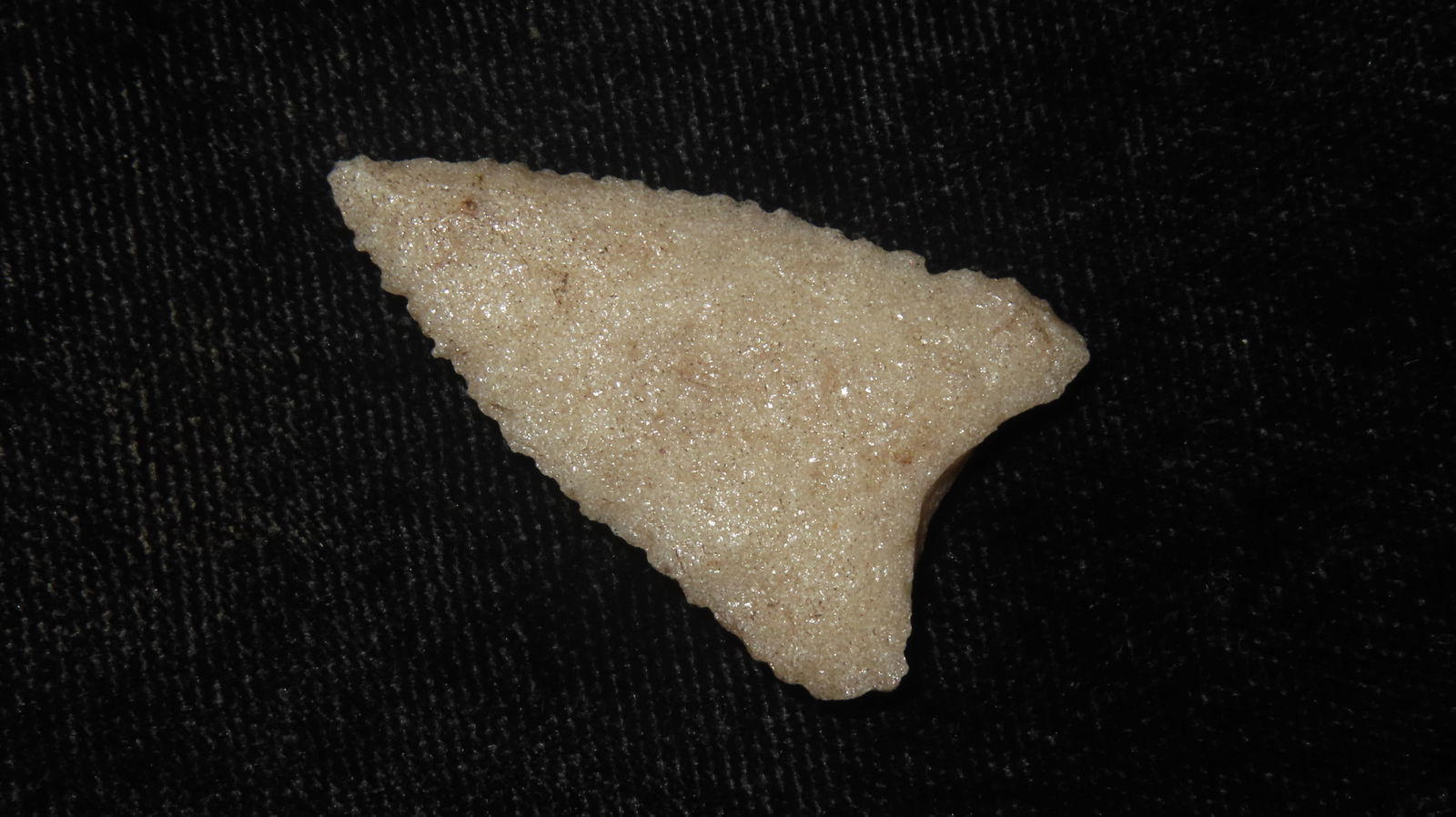 1 3/8” Translucent Serrated Triangular Point - 2