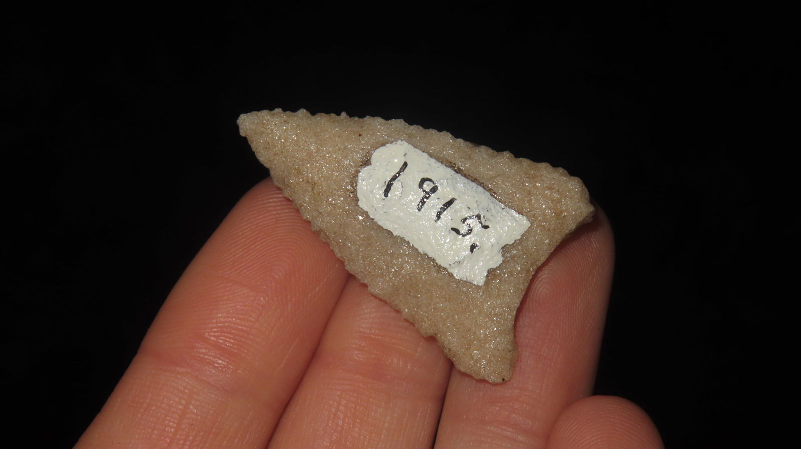 1 3/8” Translucent Serrated Triangular Point - 3