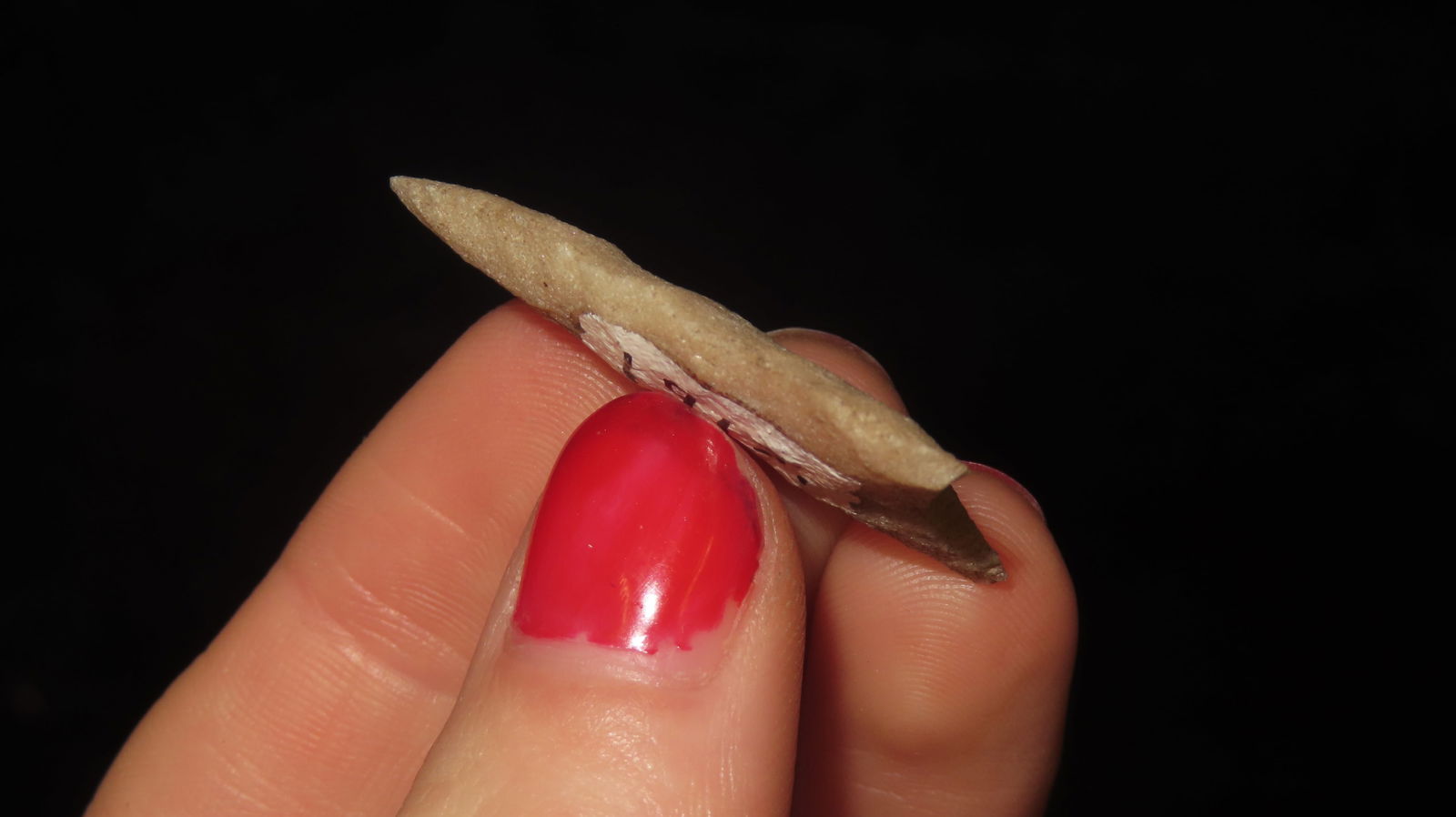 1 3/8” Translucent Serrated Triangular Point - 4