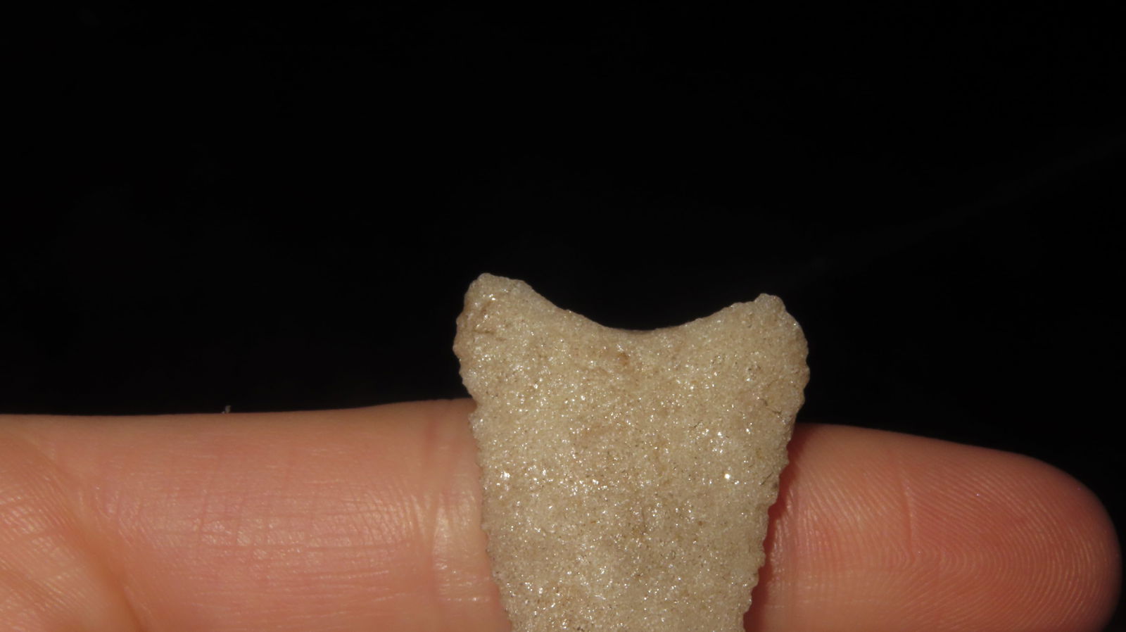 1 3/8” Translucent Serrated Triangular Point - 6