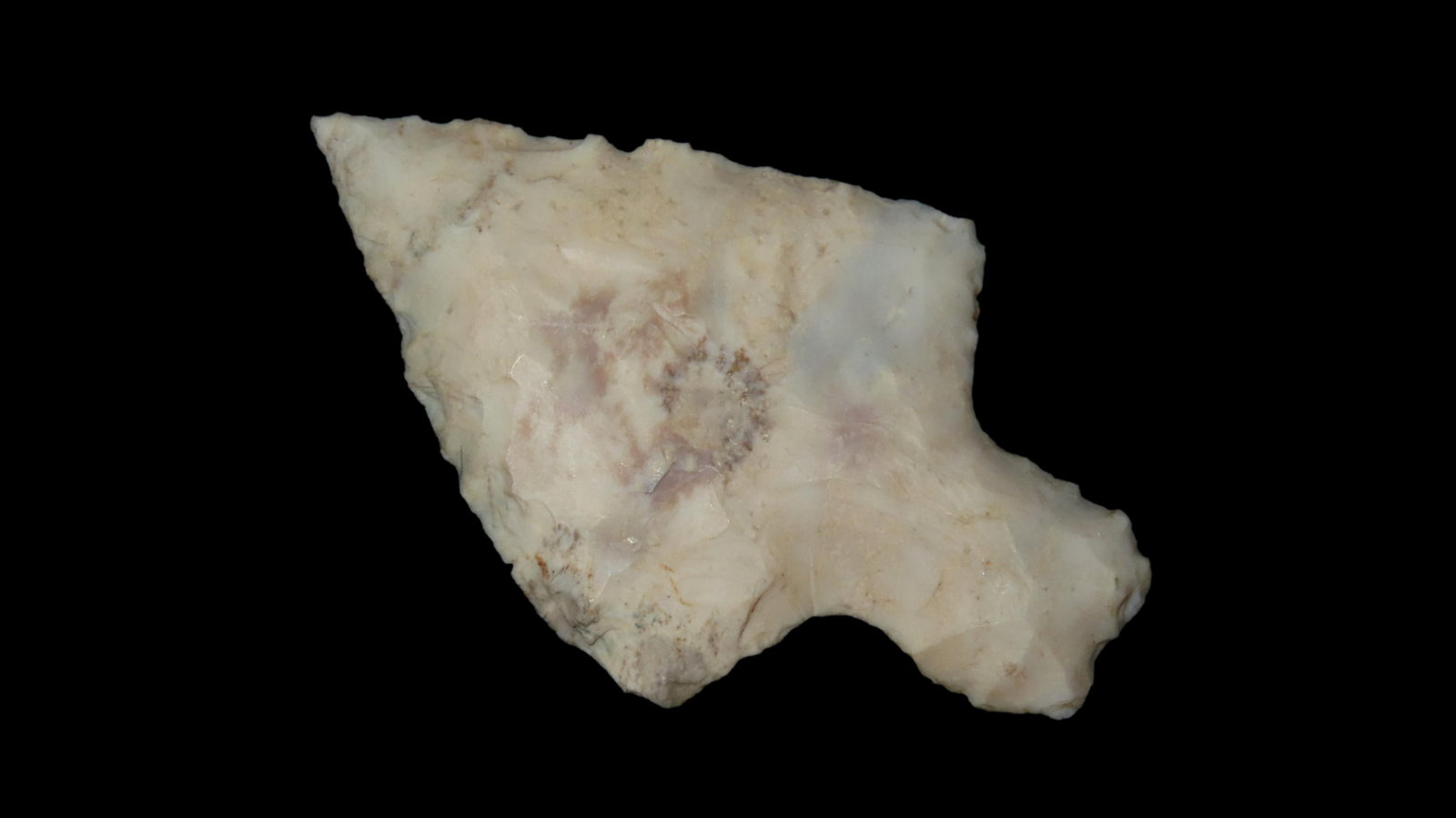 2 5/8” Long Stemmed Dickson Point: 2 5/8” Long Stemmed Dickson Point