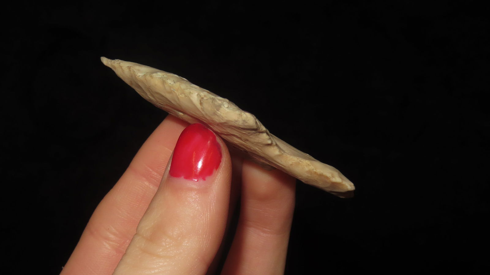 2 5/8” Long Stemmed Dickson Point - 3