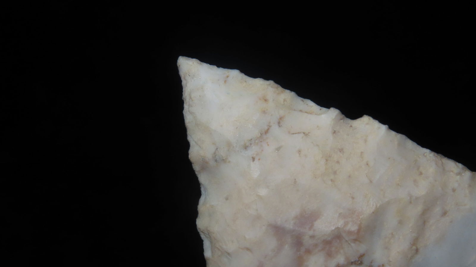 2 5/8” Long Stemmed Dickson Point - 4