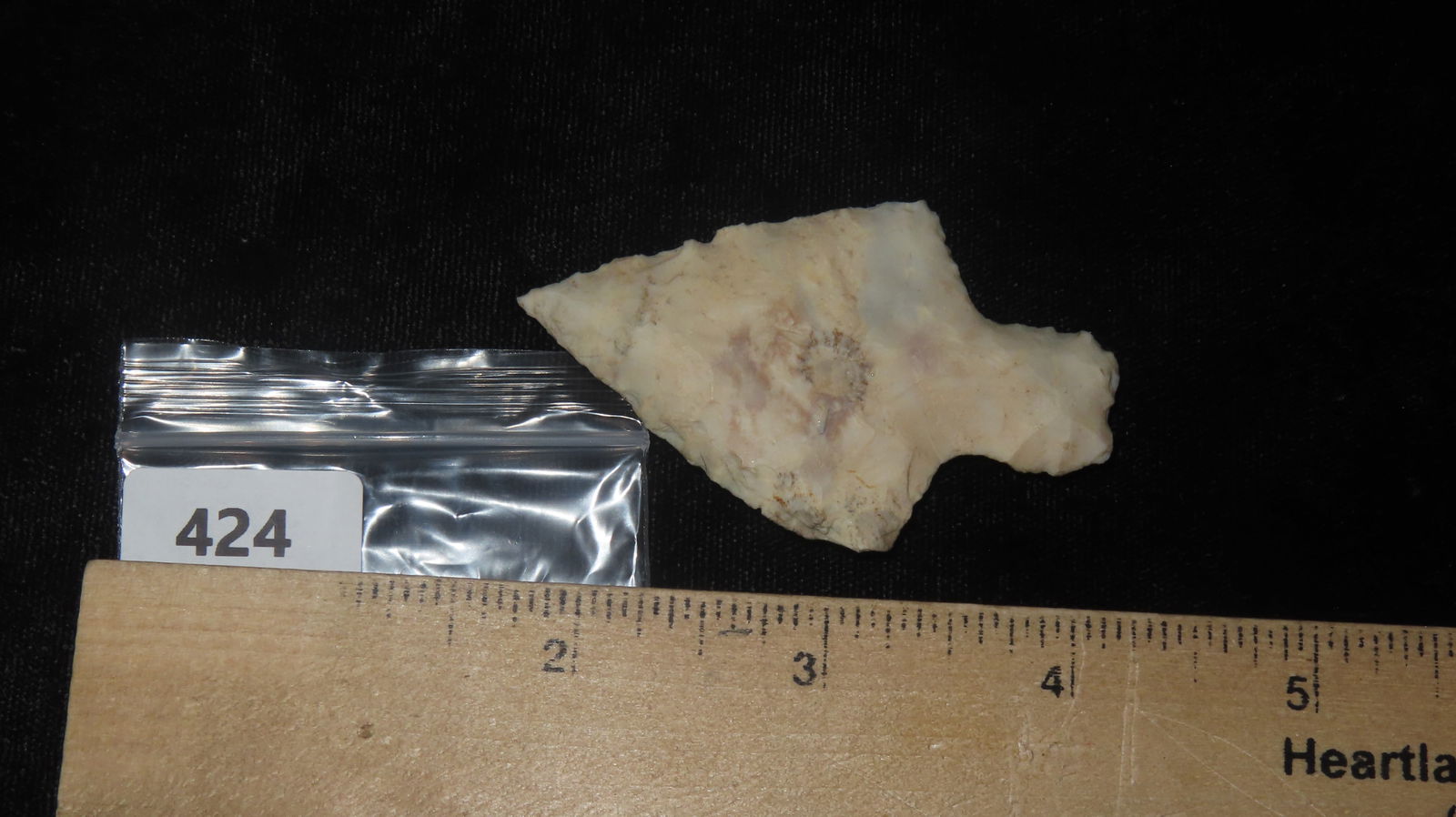 2 5/8” Long Stemmed Dickson Point - 6