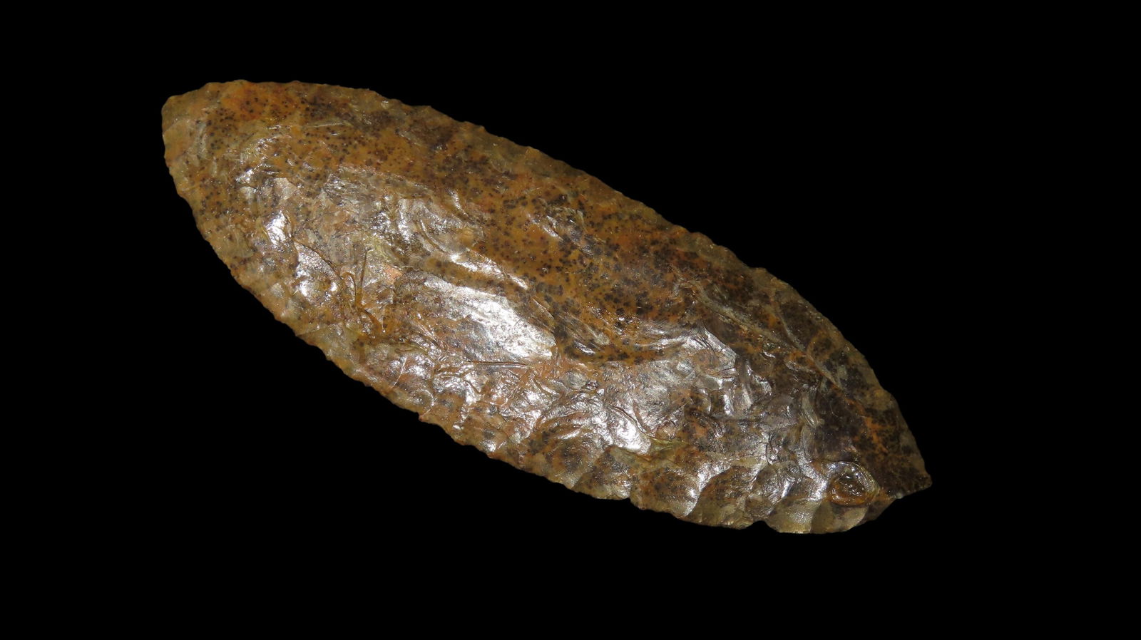 3 5/8" Bi Pointed Blade, Wyoming: 3 5/8" Bi Pointed Blade, Wyoming