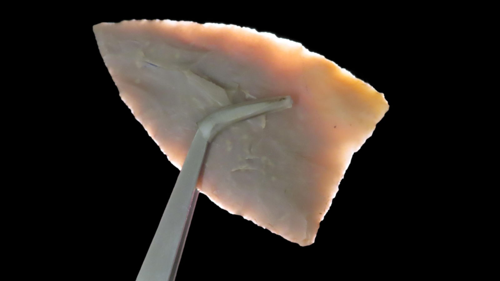 5 3/8" Friday Blade, Rogers COA, Found in Central Texas: 5 3/8" Friday Blade, Rogers COA, Found in Central Texas