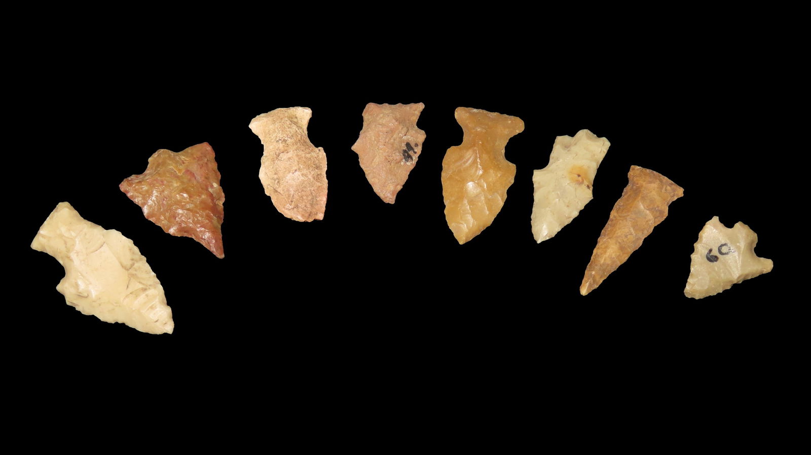 Rose Spring Stem and Rose Spring Points: Rose Spring Stem and Rose Spring Points