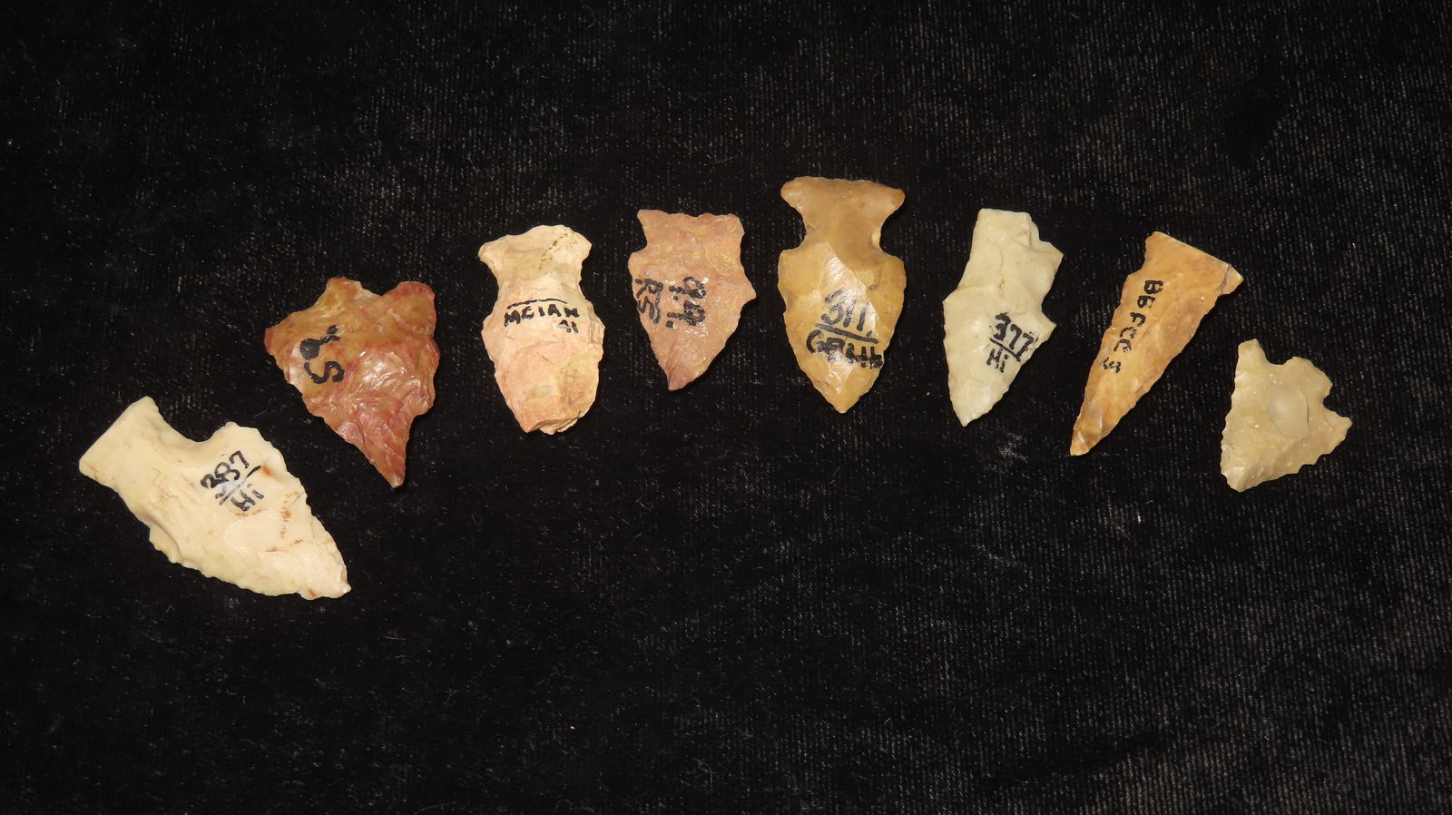 Rose Spring Stem and Rose Spring Points - 2