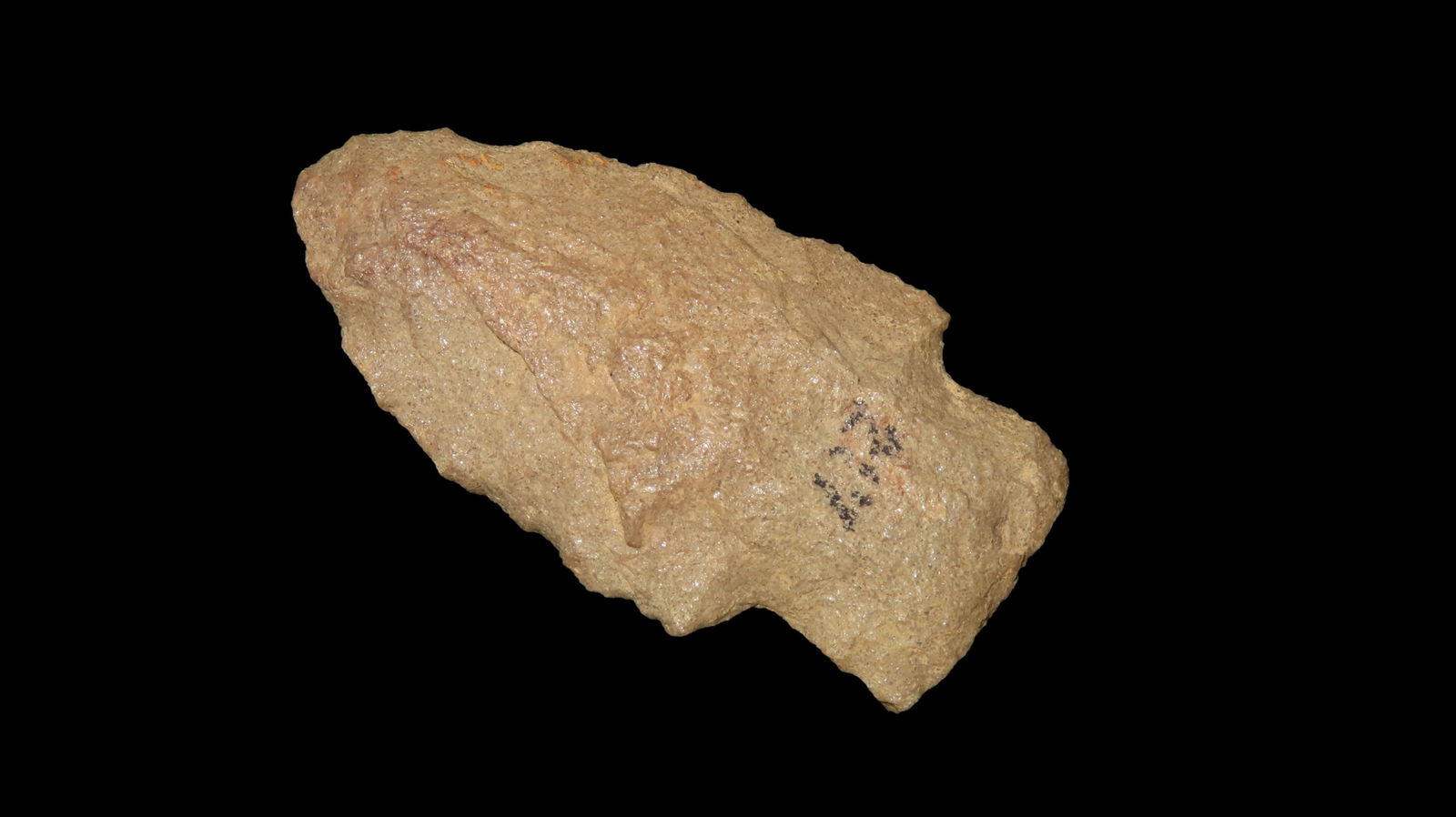 2 1/8" San Pedro Point, South Central Texas: 2 1/8" San Pedro Point, South Central Texas