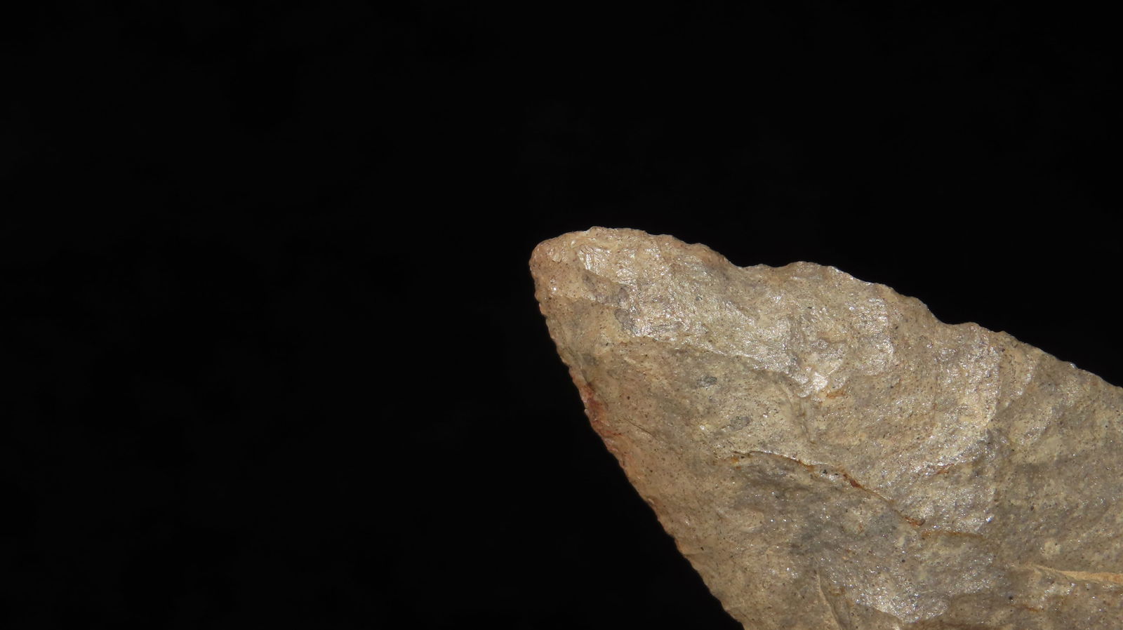 2 3/8" Squared Stem, Midwestern States - 4