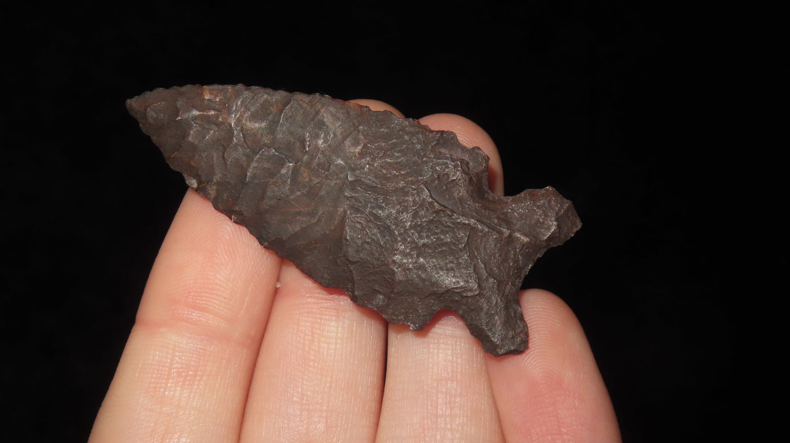 2" Restored Big Sandy Point - 2