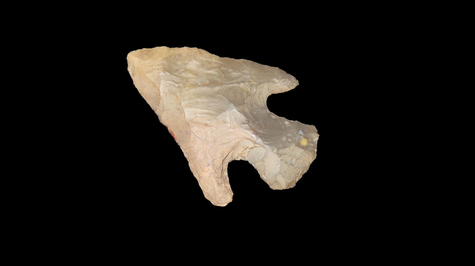 1 1/2" Figueroa from Otero City, New Mexico: 1 1/2" Figueroa from Otero City, New Mexico