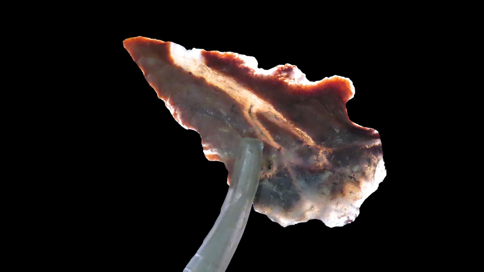 1 3/4" Guadelupe Point, Great Material, Well Made Point: 1 3/4" Guadelupe Point, Great Material, Well Made Point