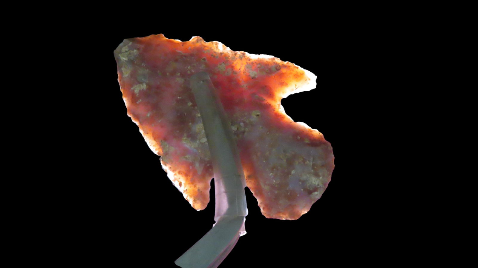 2 3/4" Alibates Figueroa Point: 2 3/4" Alibates Figueroa Point