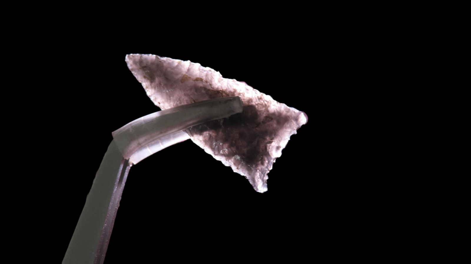 1 5/8" Humbolt Point: 1 5/8" Humbolt Point