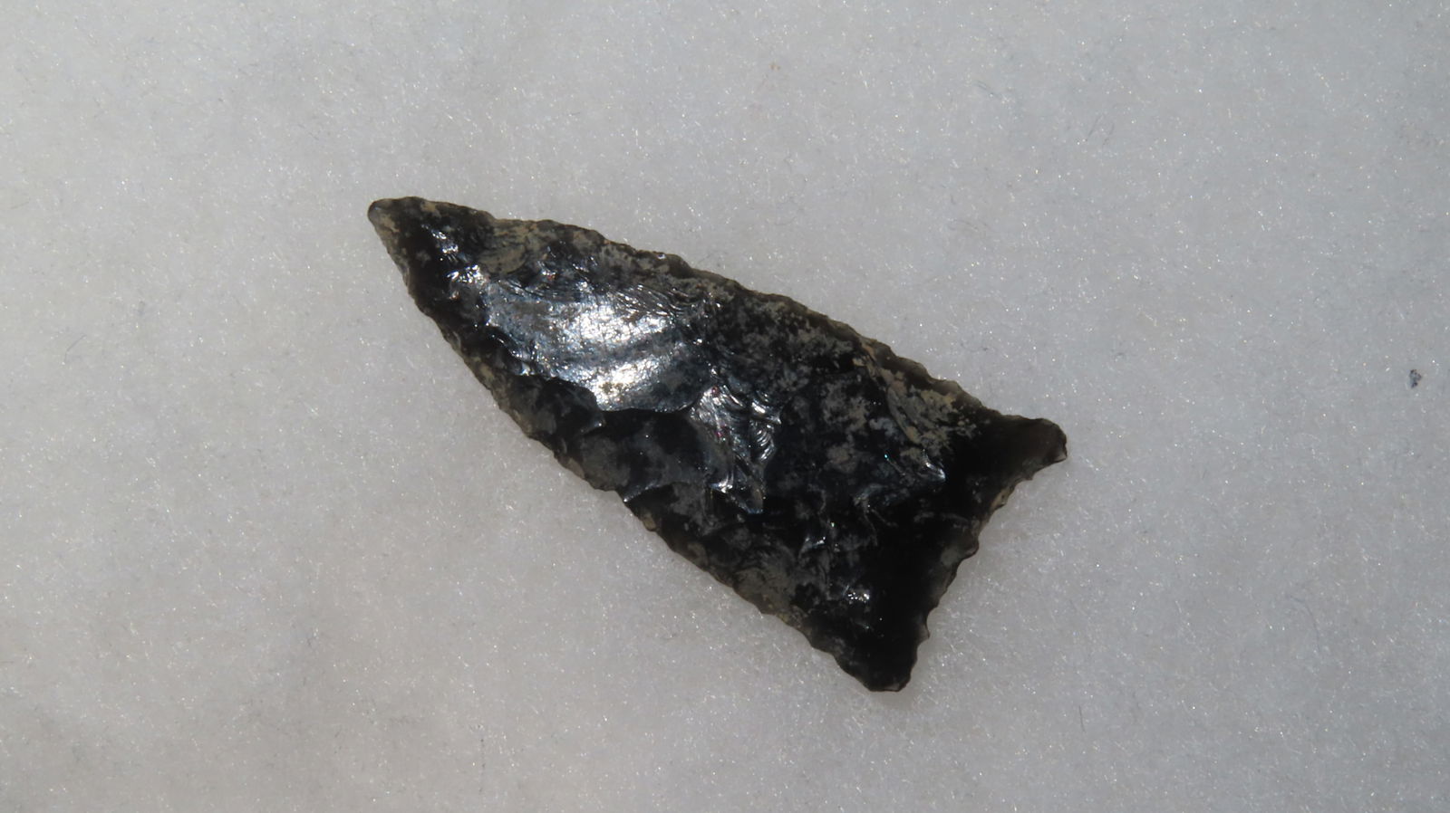 1 5/8" Humbolt Point - 2