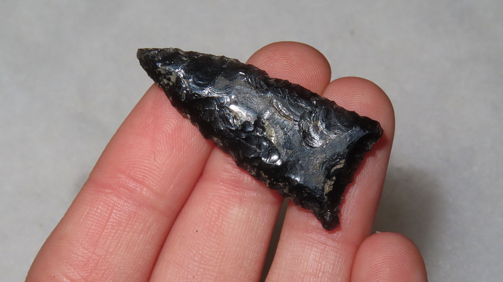 1 5/8" Humbolt Point - 3