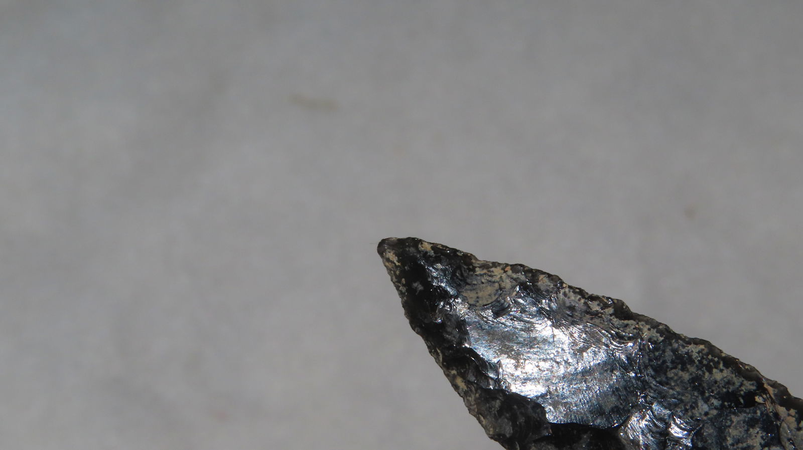 1 5/8" Humbolt Point - 5