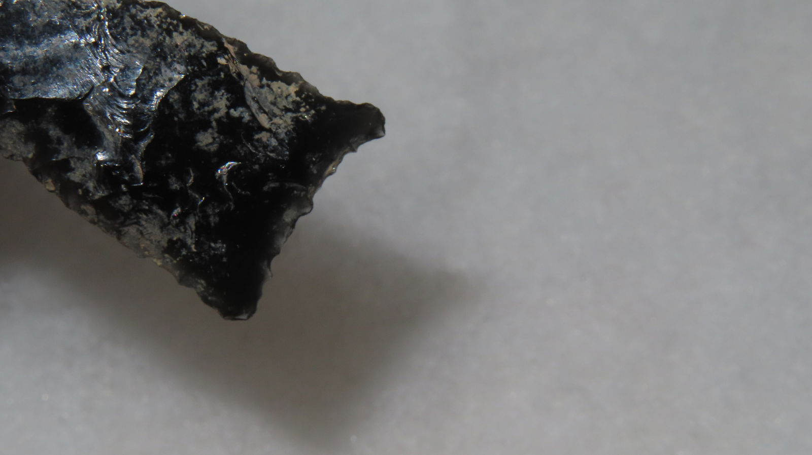 1 5/8" Humbolt Point - 6