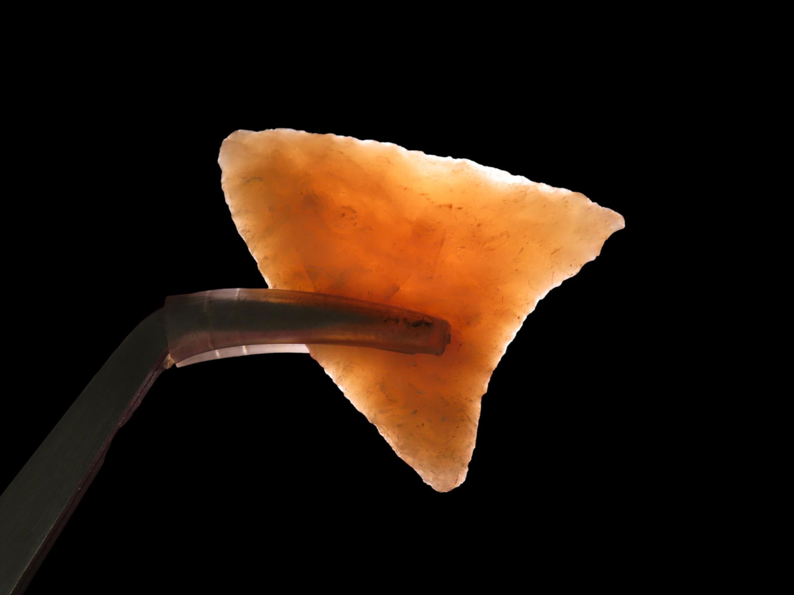 1 1/2" Tortugas Point: 1 1/2" Tortugas Point