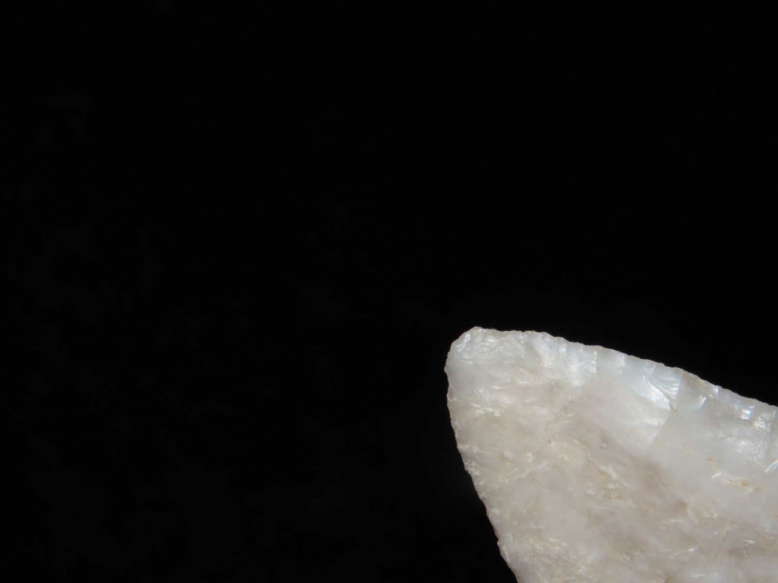 1 1/2" Tortugas Point - 5