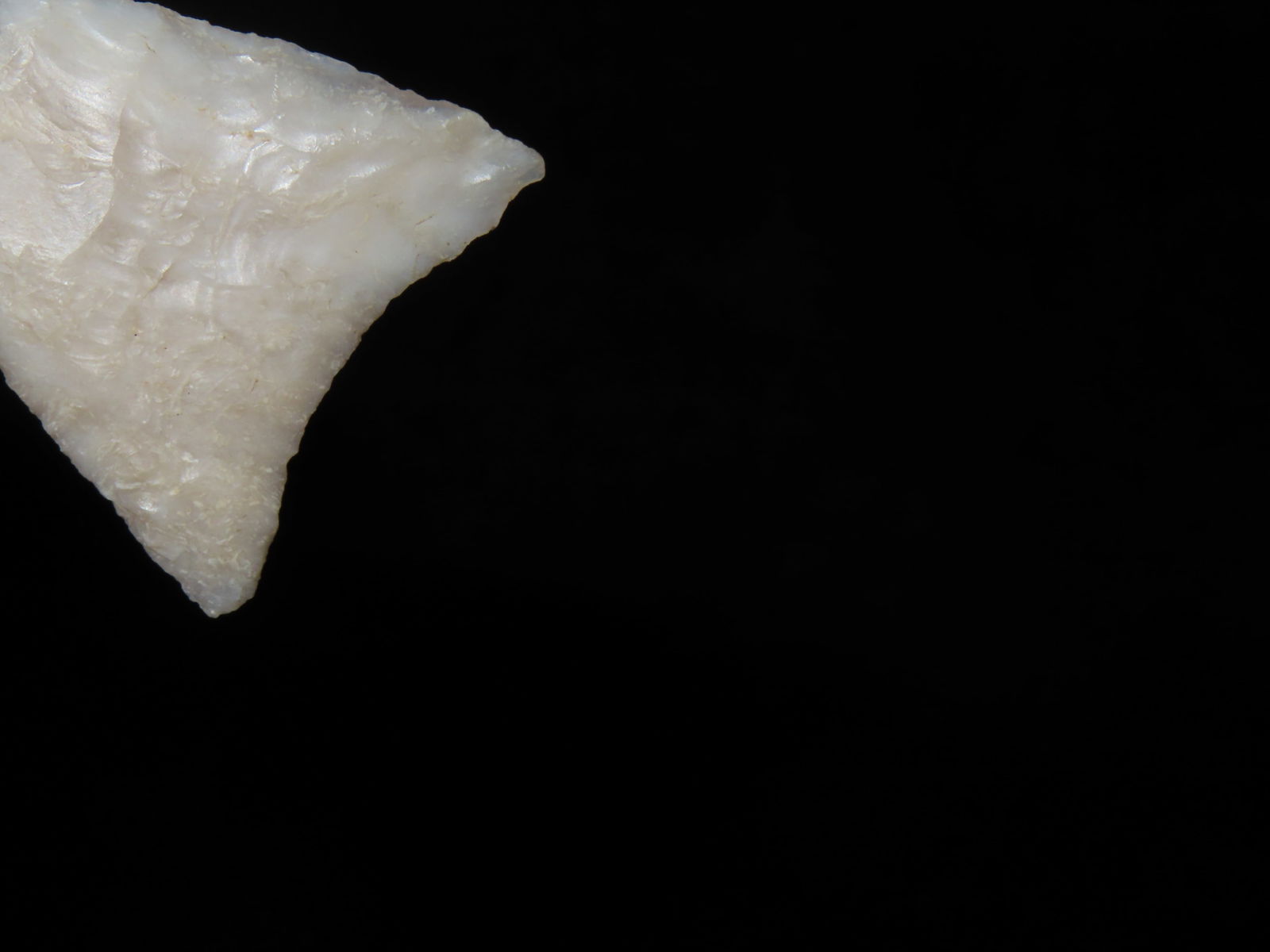 1 1/2" Tortugas Point - 6