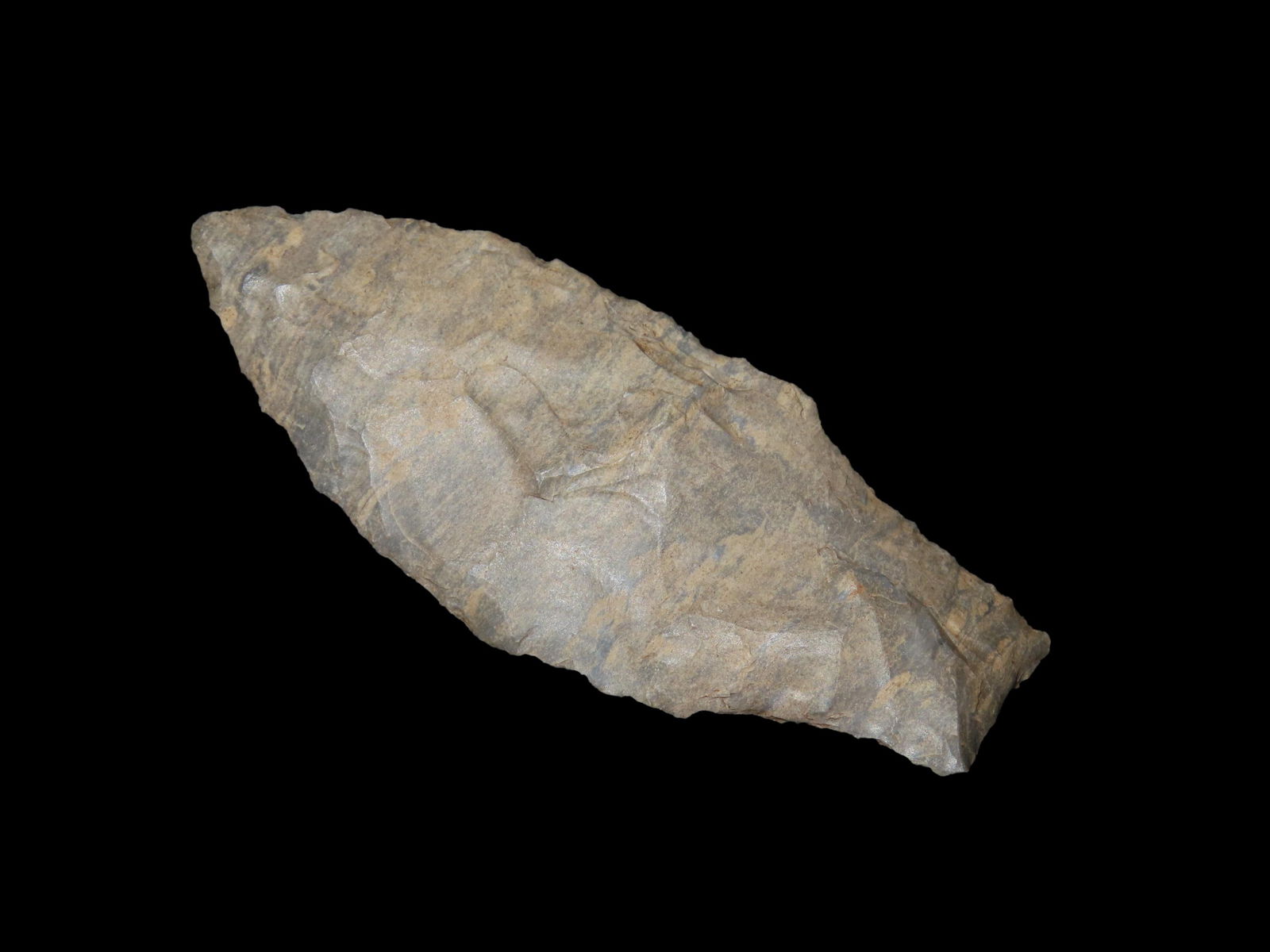 2 7/8" Adena Robins: 2 7/8" Adena Robins