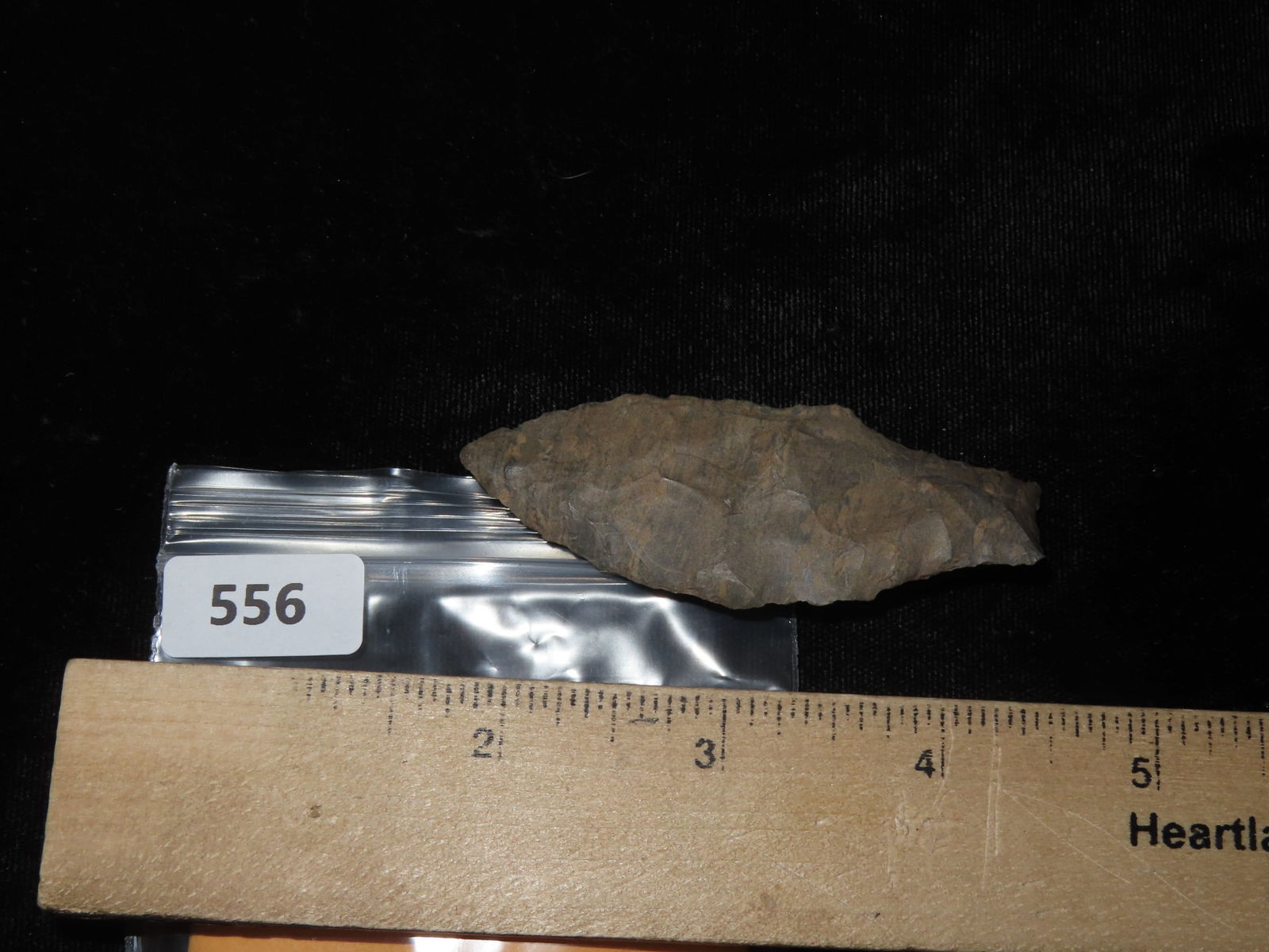 2 7/8" Adena Robins - 6