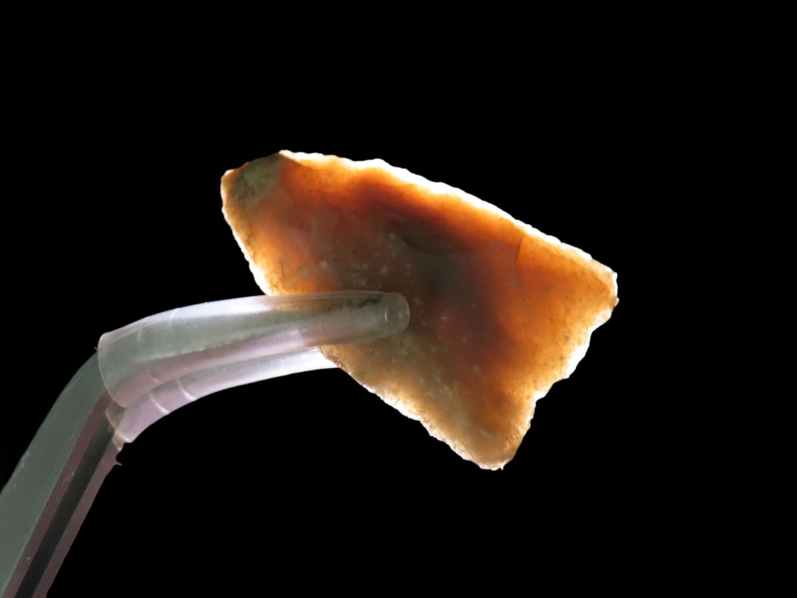 1 3/8" Tortugas Point: 1 3/8" Tortugas Point