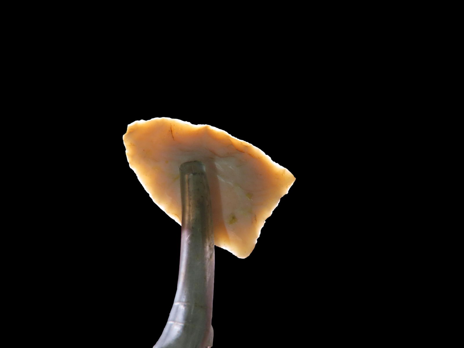 7/8" Clovis, from Illinois / Missouri: 7/8" Clovis, from Illinois / Missouri