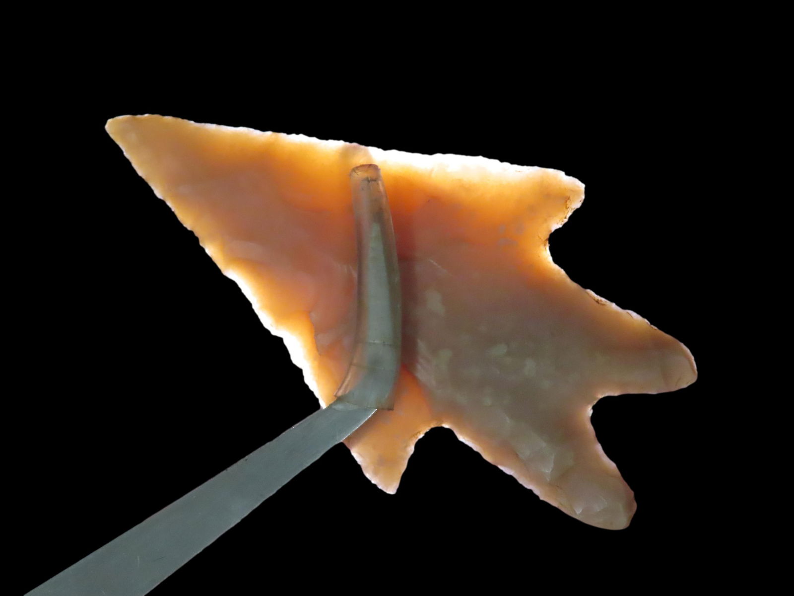 2 3/4" Pedernalas Point: 2 3/4" Pedernalas Point