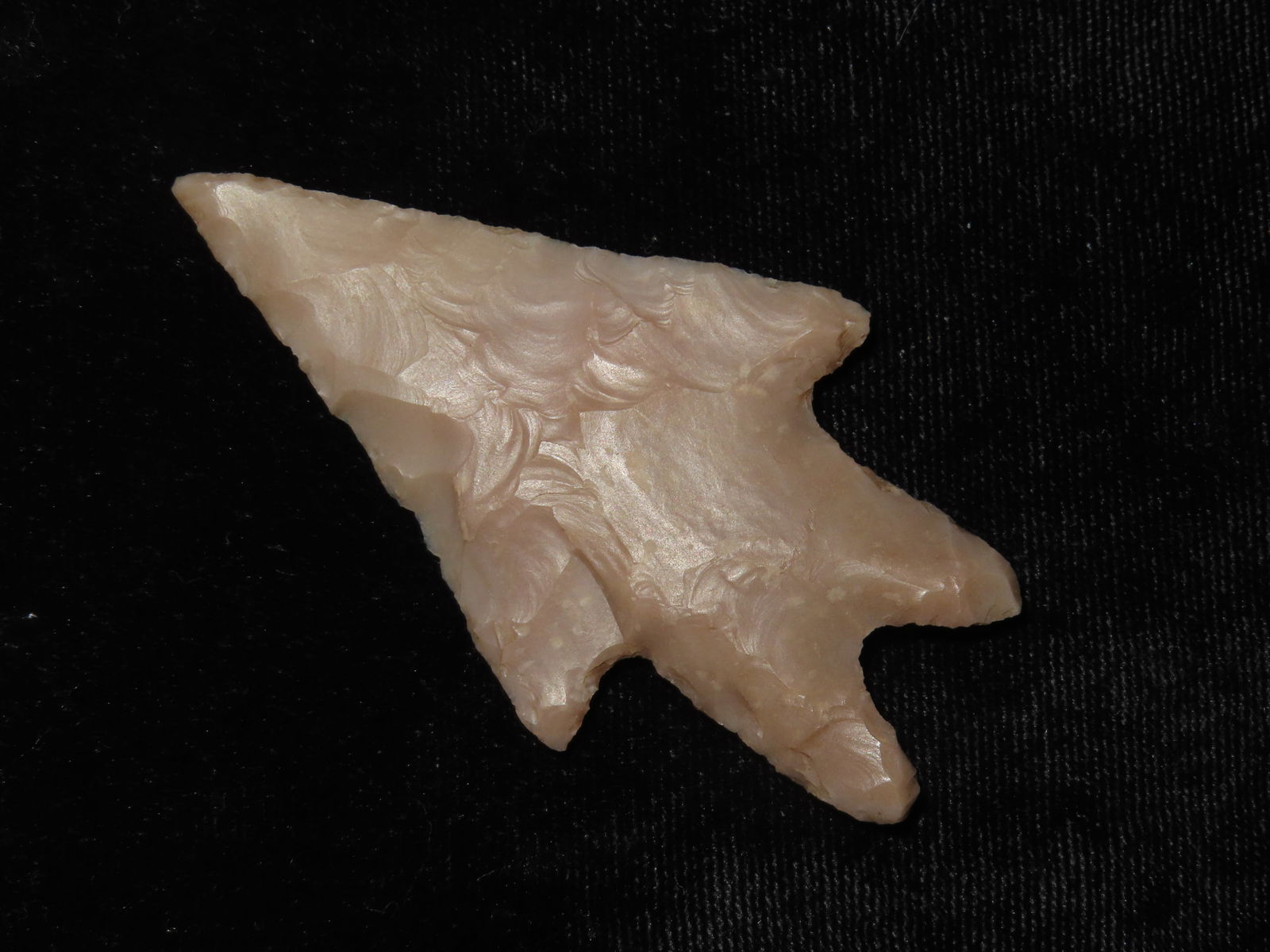 2 3/4" Pedernalas Point - 2