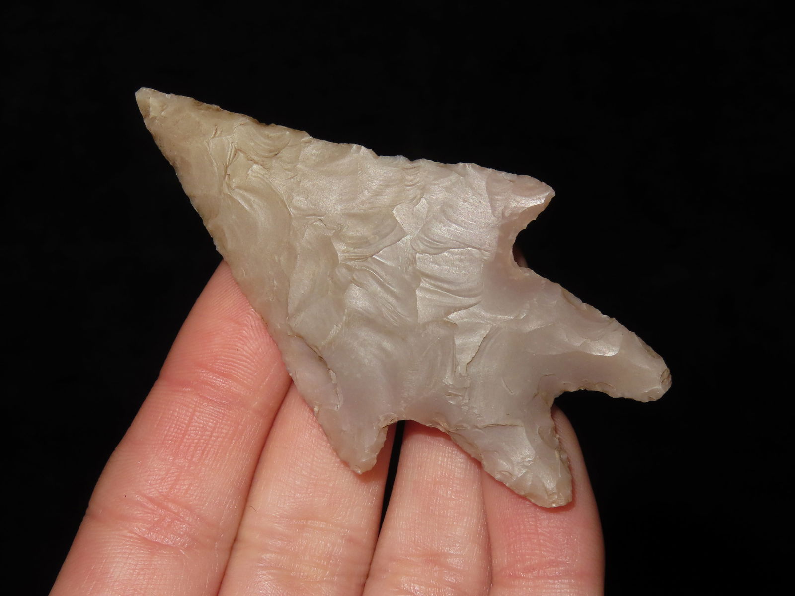 2 3/4" Pedernalas Point - 3