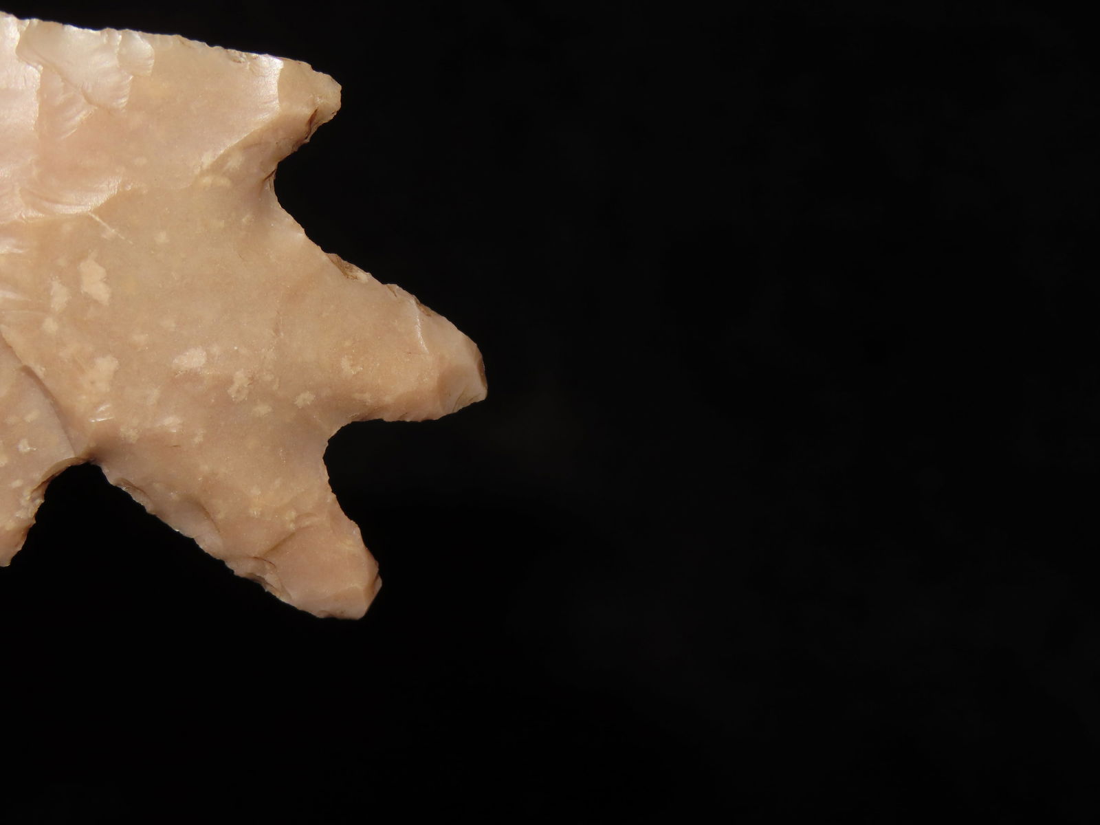 2 3/4" Pedernalas Point - 6