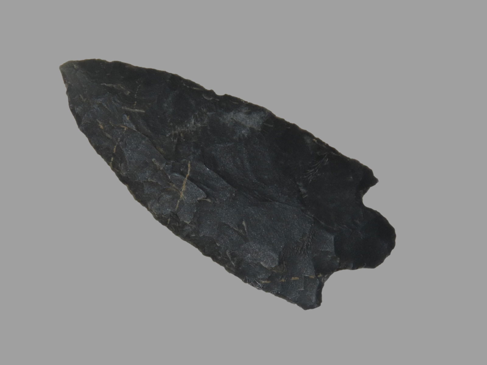 1 1/2" Augustin Point: 1 1/2" Augustin Point