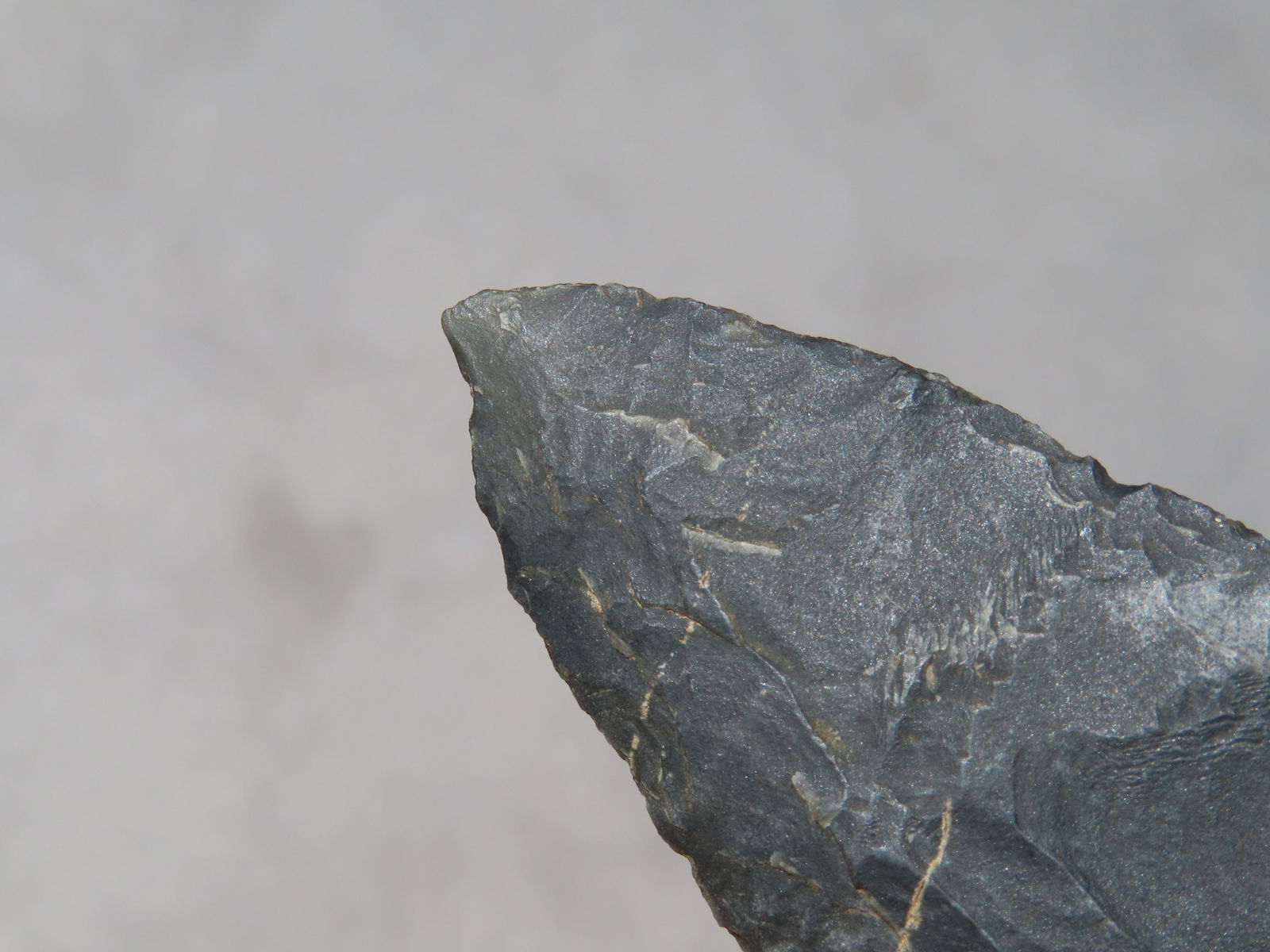 1 1/2" Augustin Point - 4