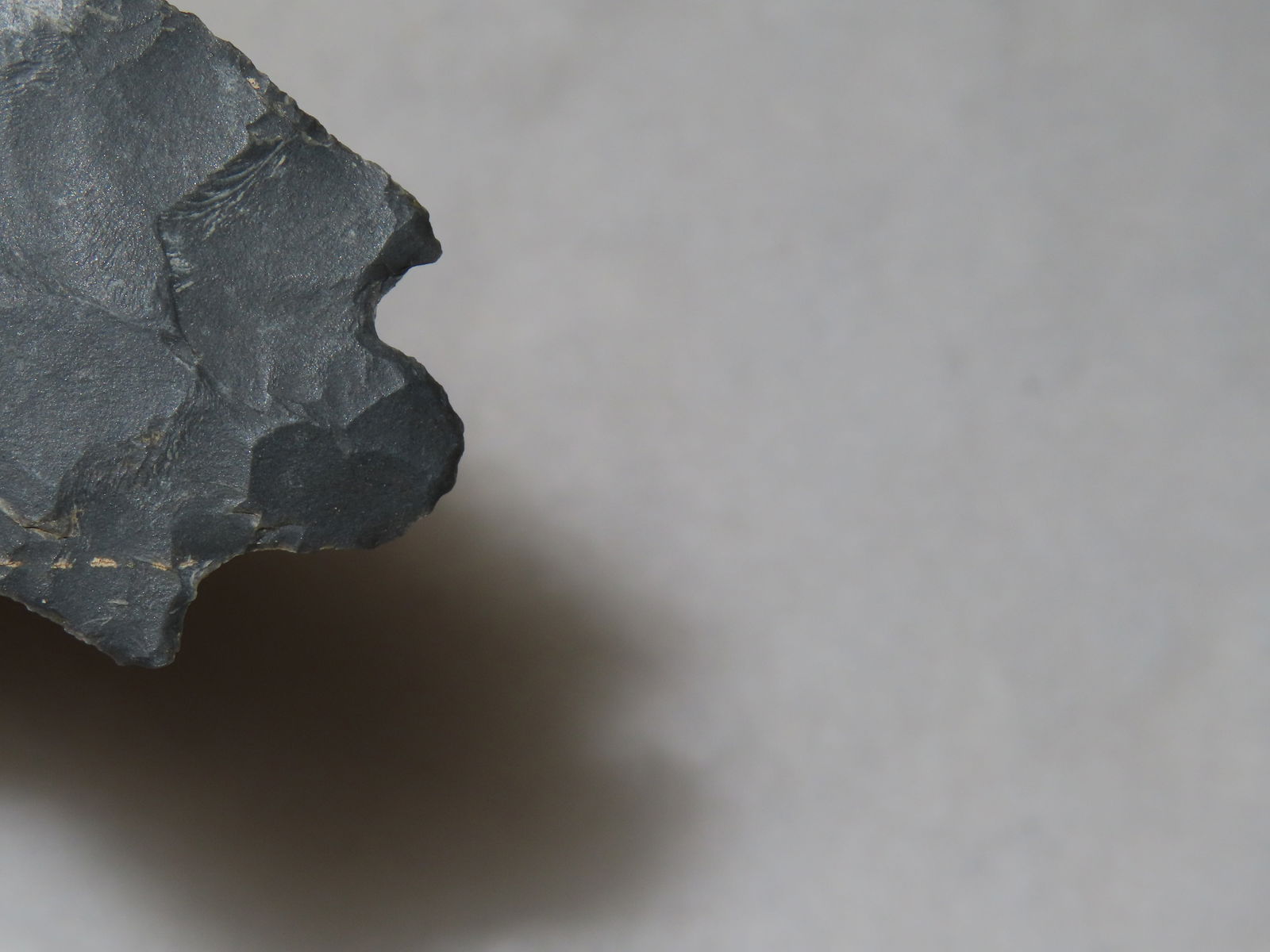 1 1/2" Augustin Point - 5