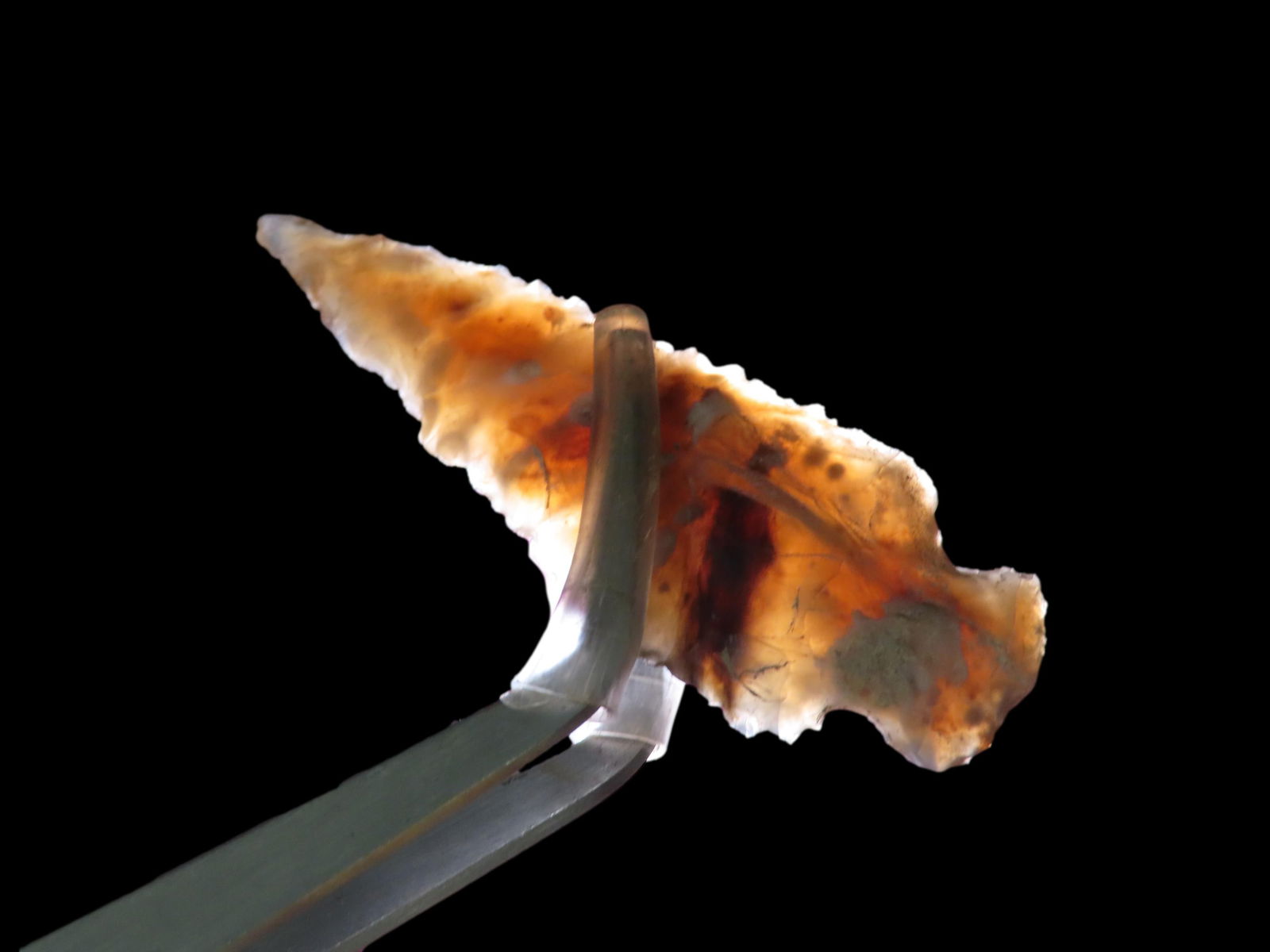 2 1/4" Guadalupe Point, New Mexico: 2 1/4" Guadalupe Point, New Mexico