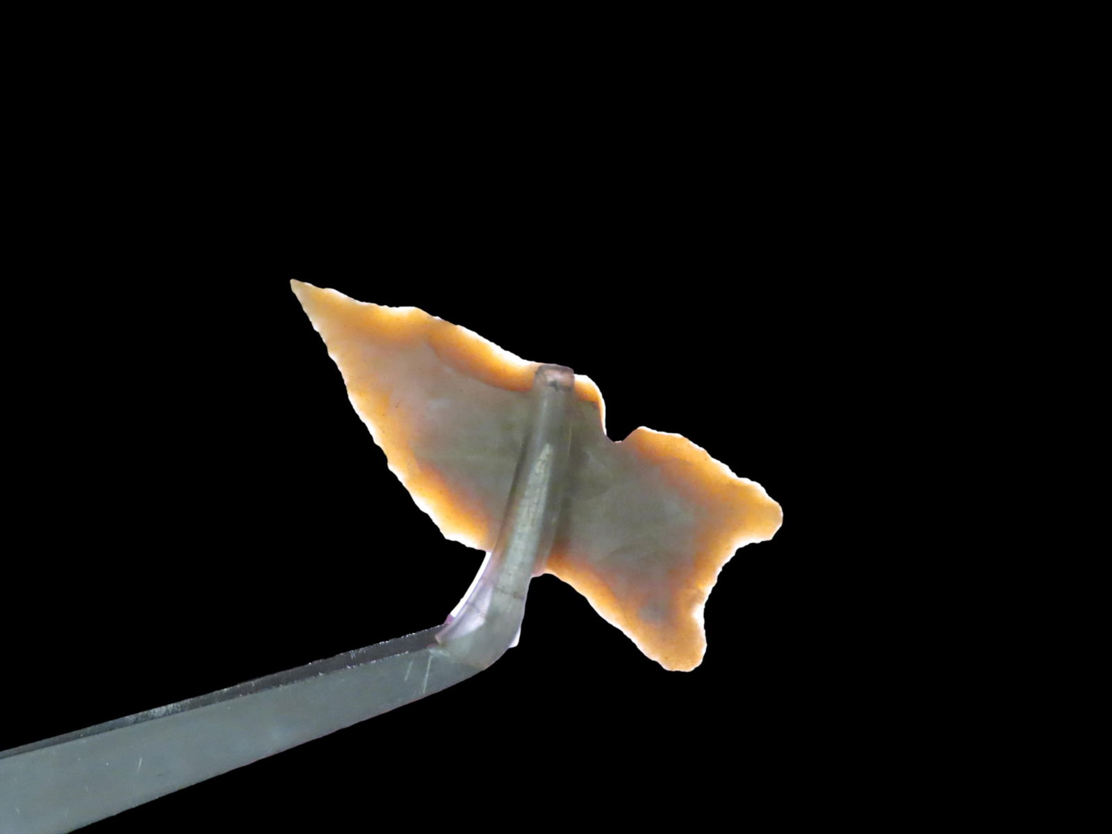 1 7/8" Atlatl Dart Point: 1 7/8" Atlatl Dart Point