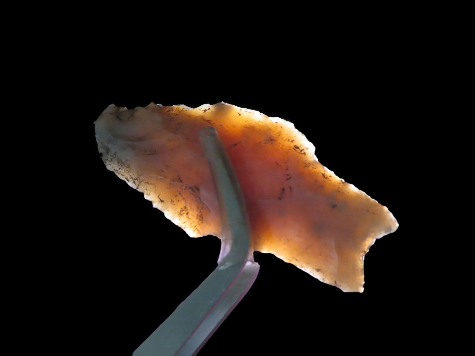 2 1/4" Bejada Point, Doña Ana County, New Mexico: 2 1/4" Bejada Point, Doña Ana County, New Mexico