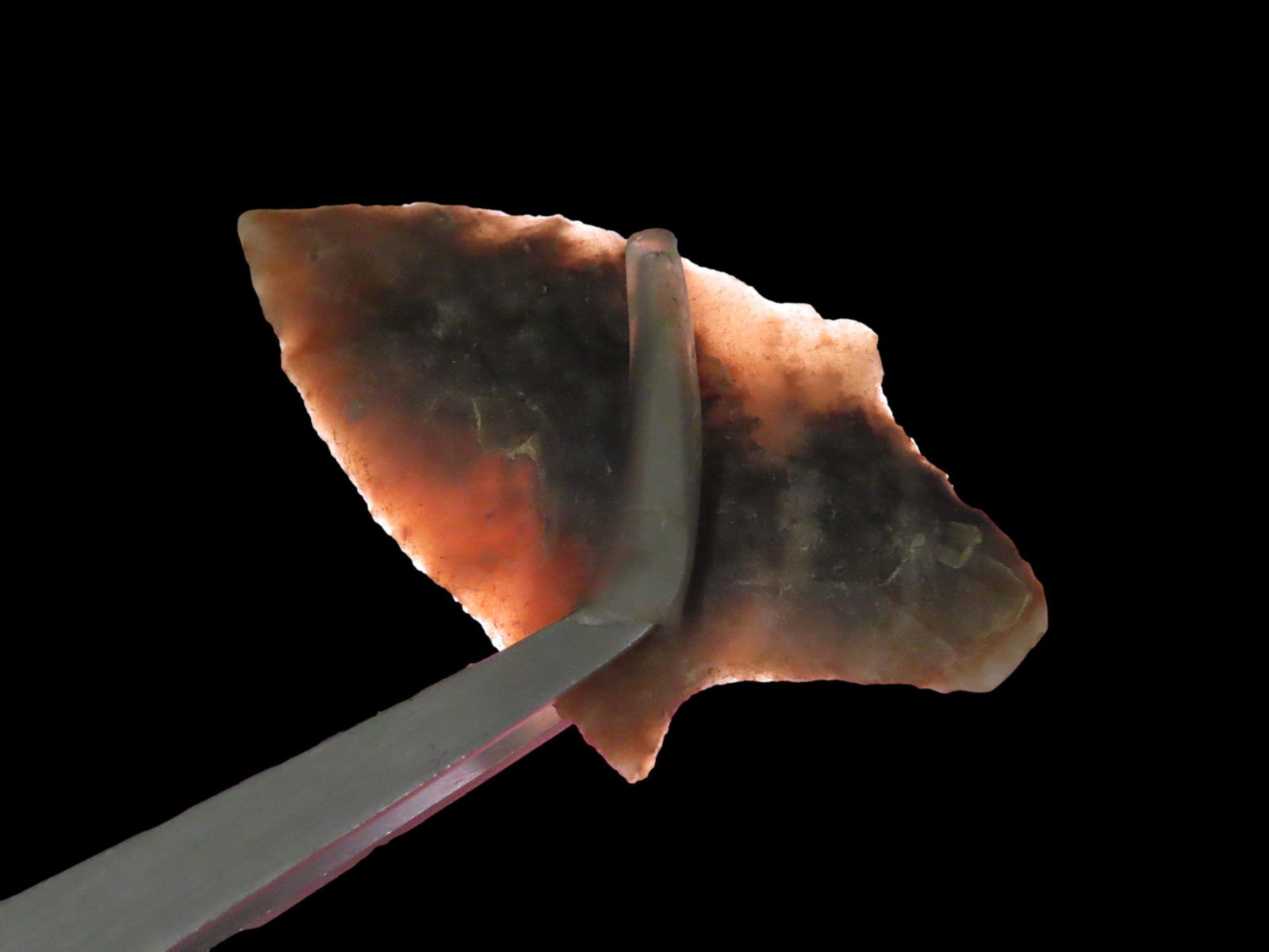 2 3/8" Gary Point: 2 3/8" Gary Point