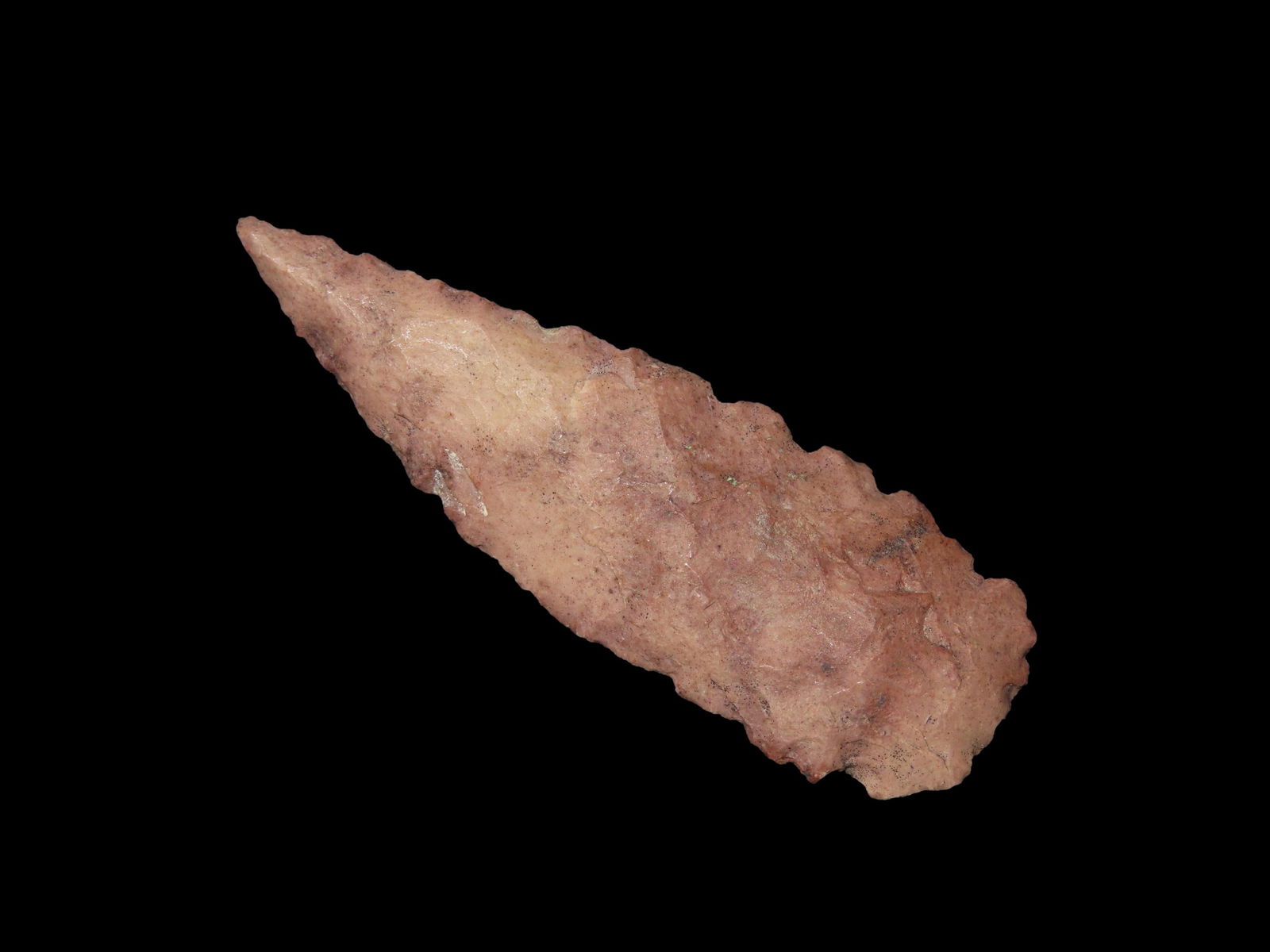 2 1/4" Datil Stemmed, Southwest Central Texas (1 of 4)