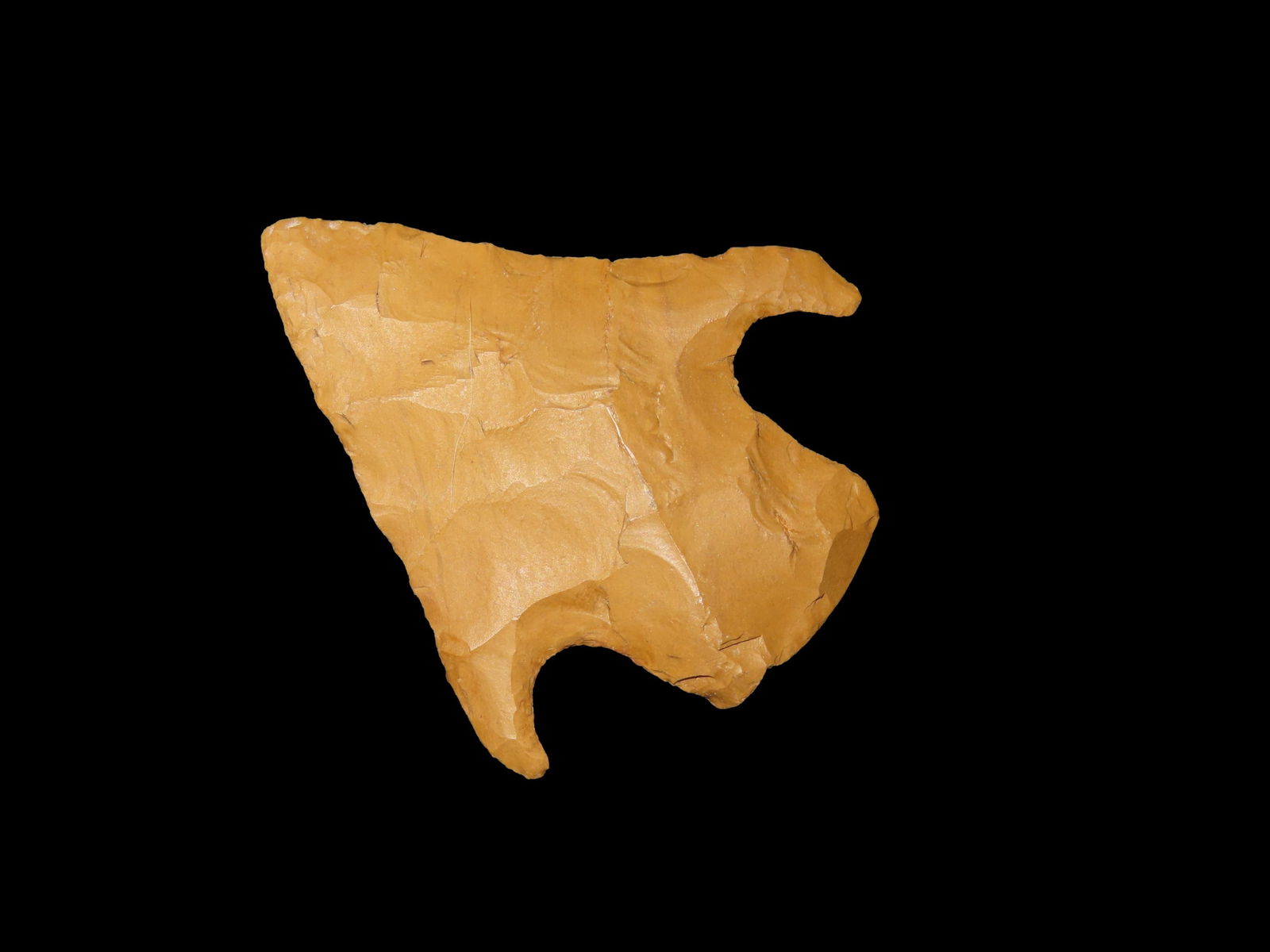 1 3/4" Mellville Point, Southeastern Missouri (1 of 6)