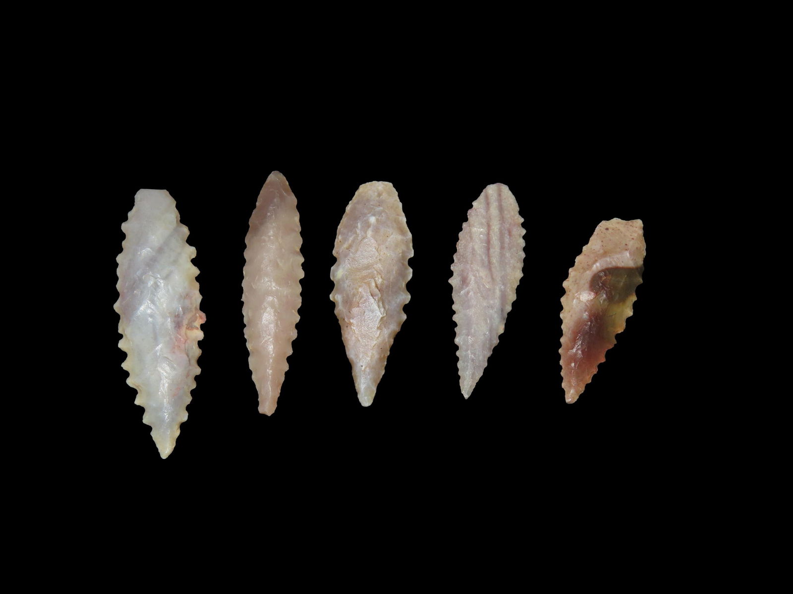 Lot of Serrated Neolithic Points, Sierra Desert (1 of 3)