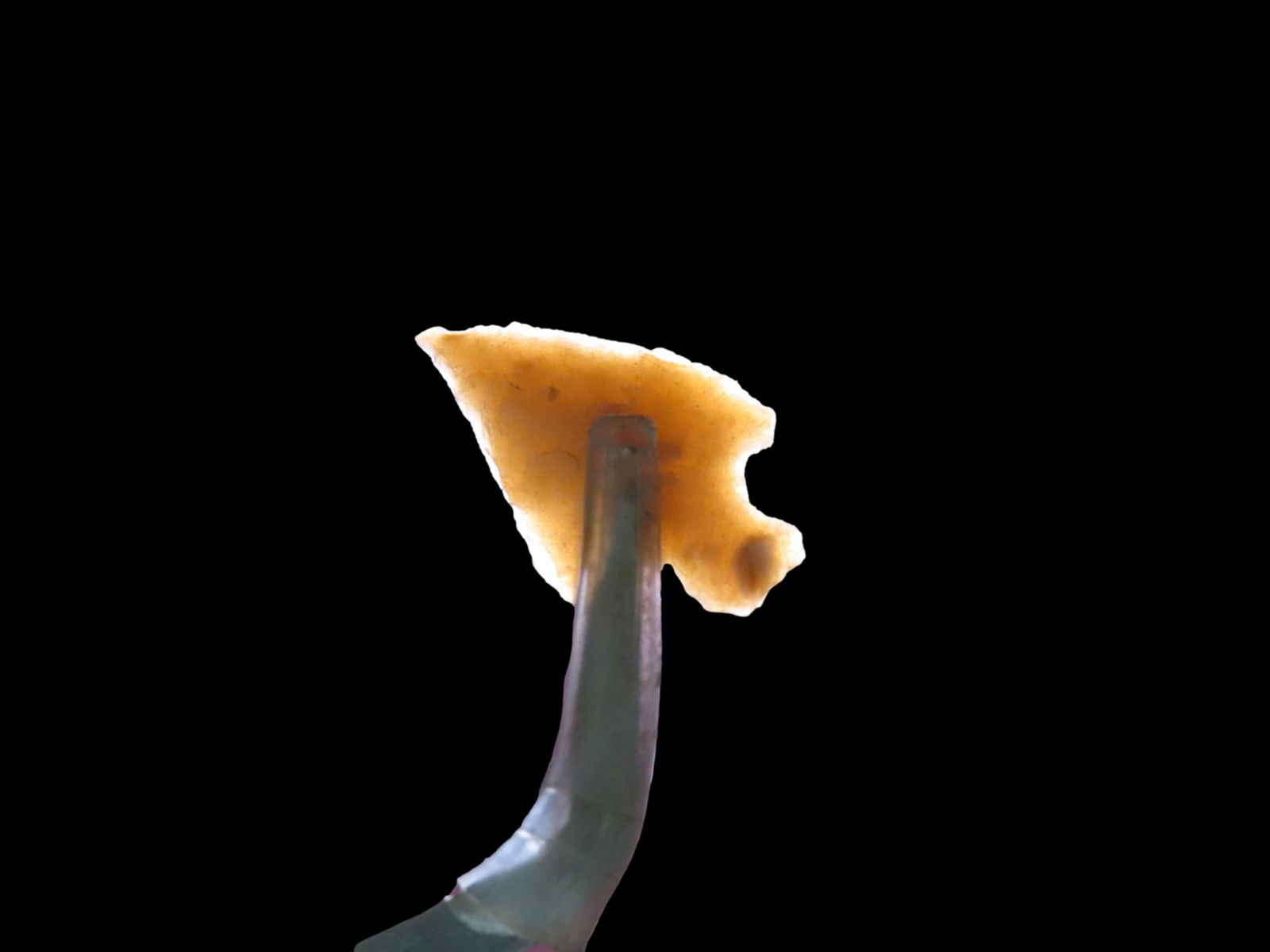 Lot of 5 Stemmed and Eared Neolithic Points, Sierra Desert: Lot of 5 Stemmed and Eared Neolithic Points, Sierra Desert