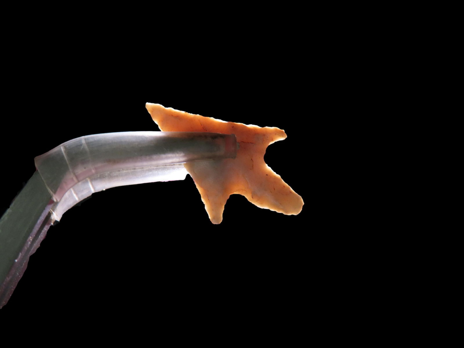 Lot of 4 Sierra Desert Neolithic Points: Lot of 4 Sierra Desert Neolithic Points