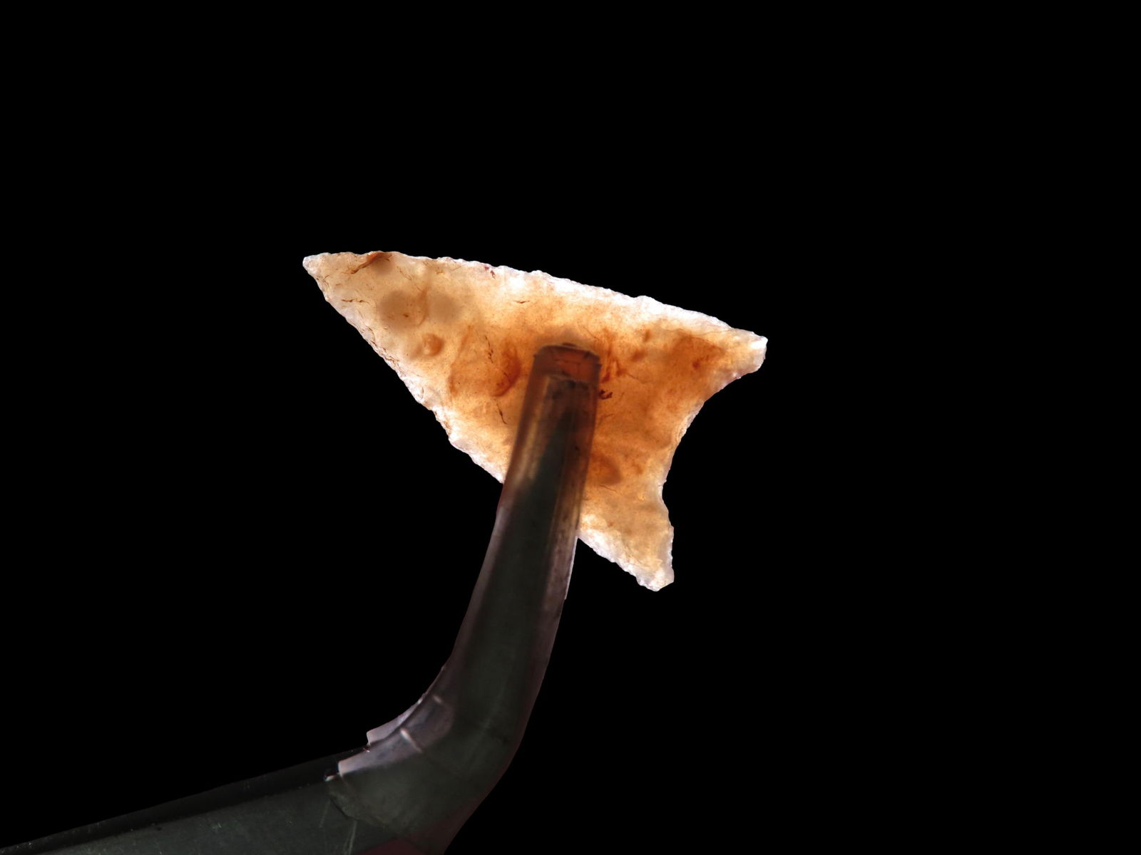 Lot of Concaved Traingular Neolithic Based Points, Sierra Desert: Lot of Concaved Traingular Neolithic Based Points, Sierra Desert