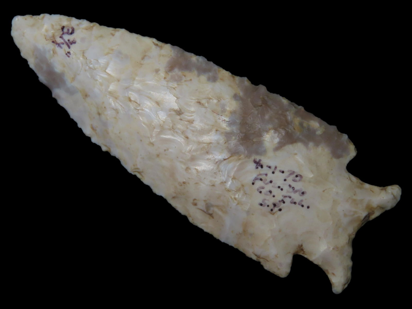 3 3/4" Holland, Paleo, Fulton Co. Illinois, Ex. Ray Bendrix of Canton IL (1 of 12)